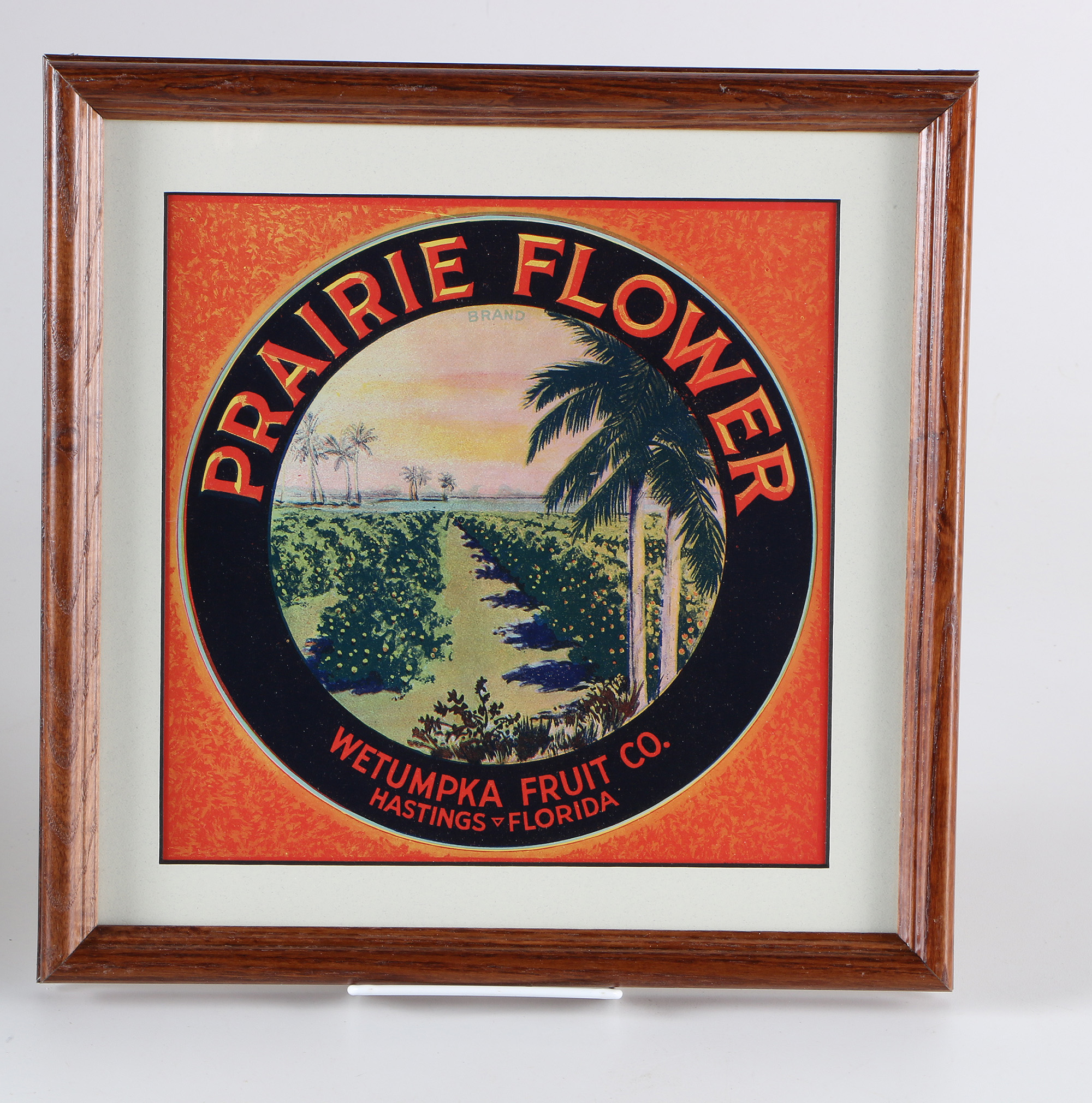 Framed Vintage Fruit Crate Labels From Florida Growers