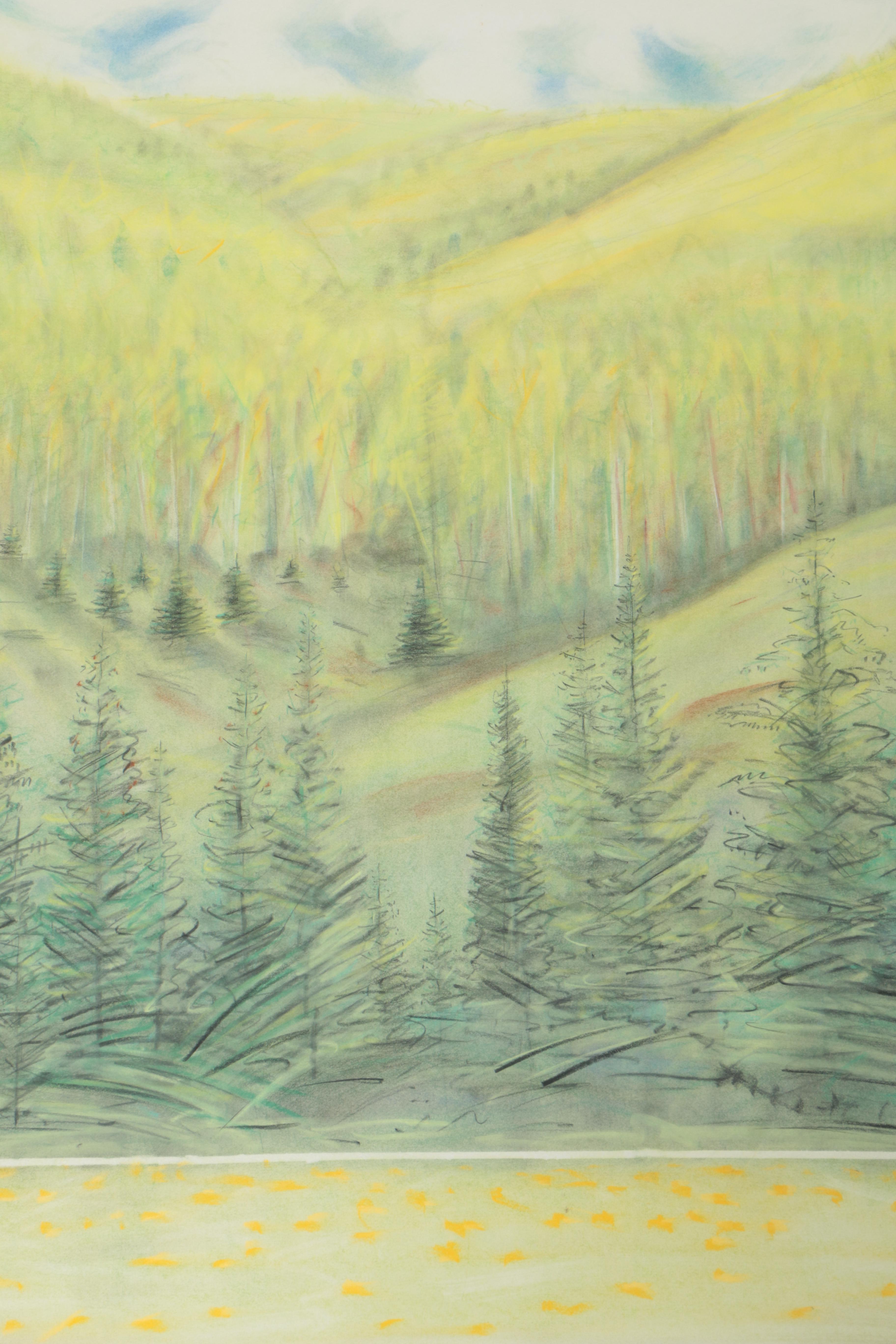 David Heil Original Oil Stick & Pastel Drawing of Spring Mountain Landscape