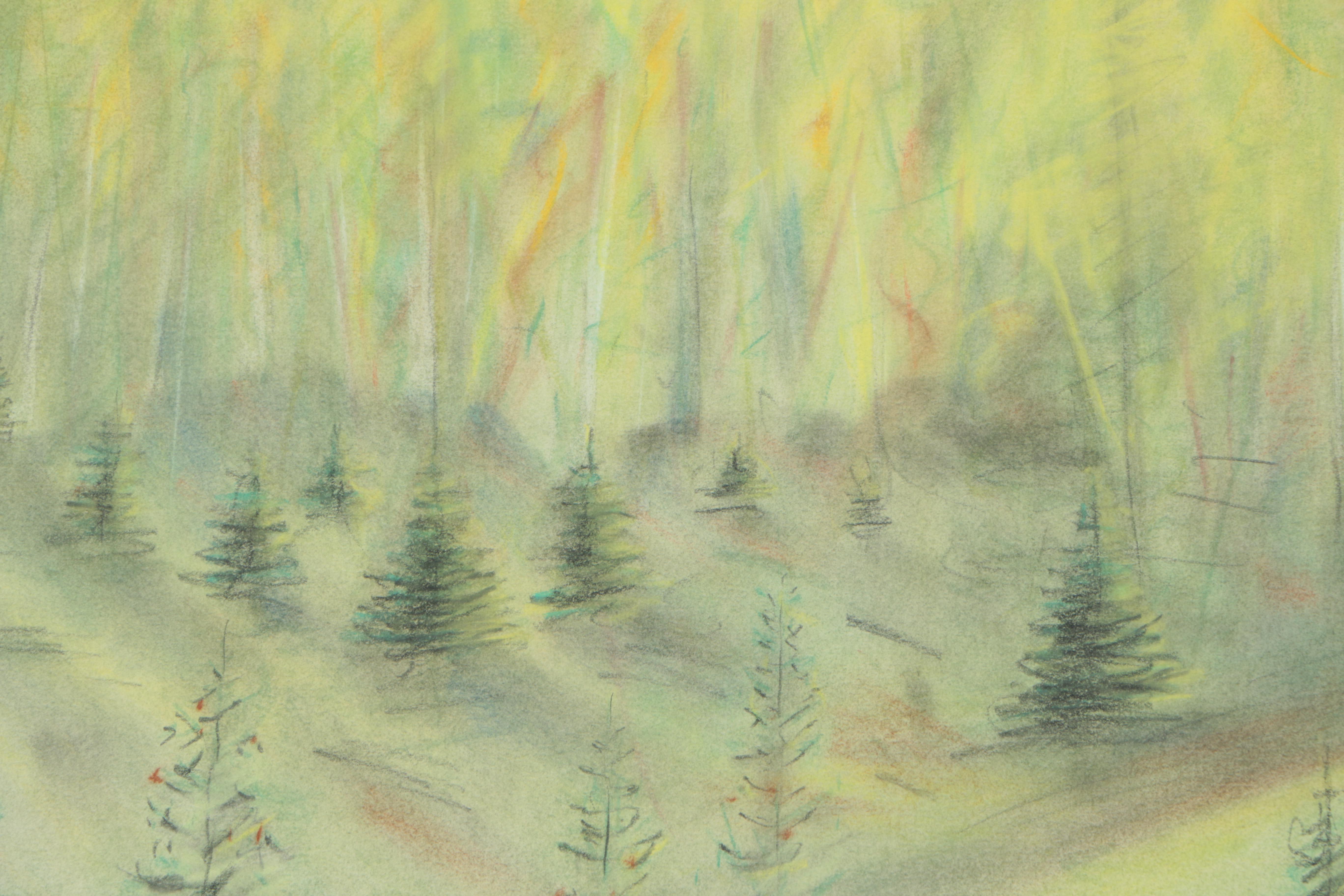 David Heil Original Oil Stick & Pastel Drawing of Spring Mountain Landscape