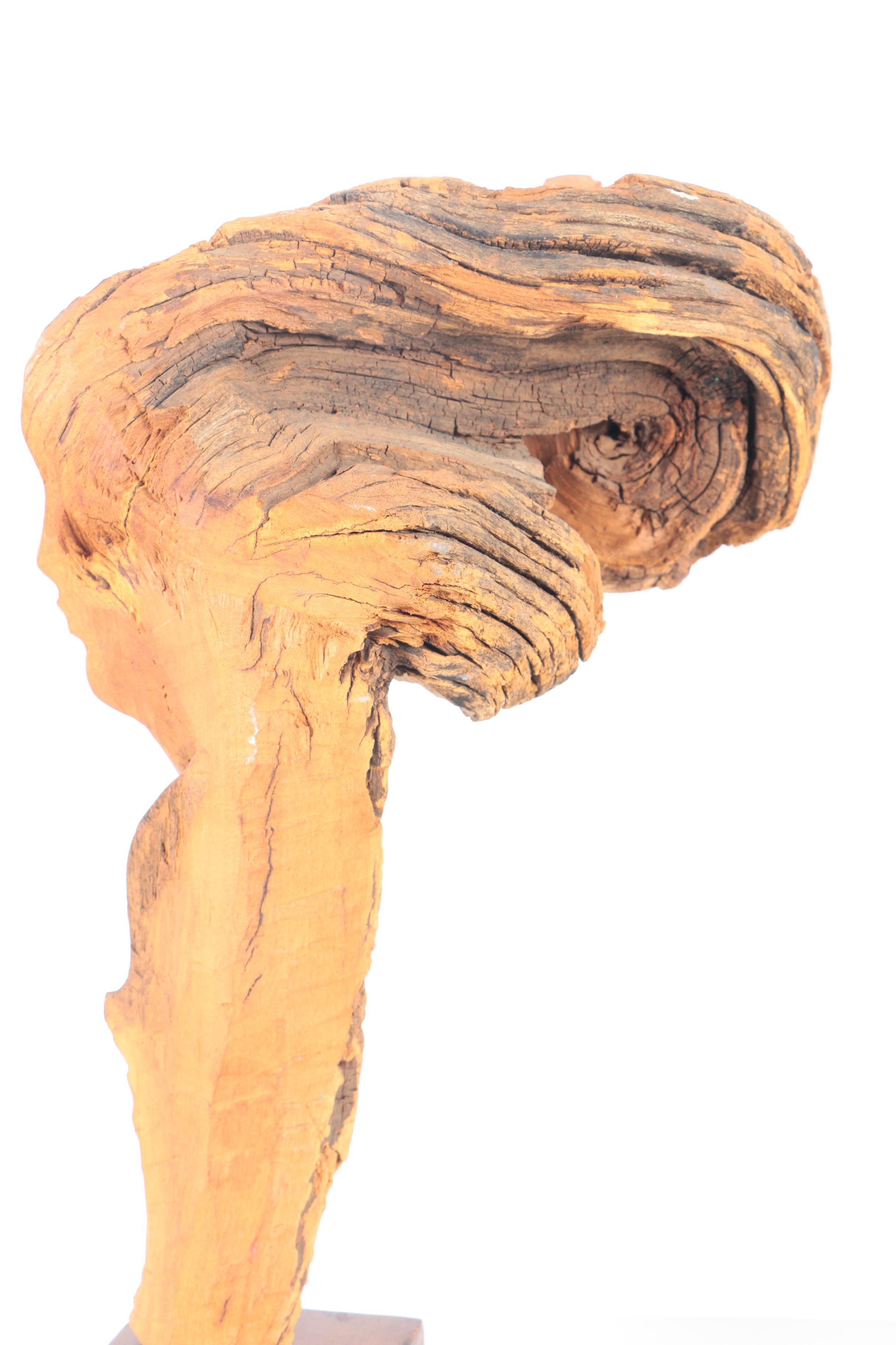 Driftwood Carving of a Woman