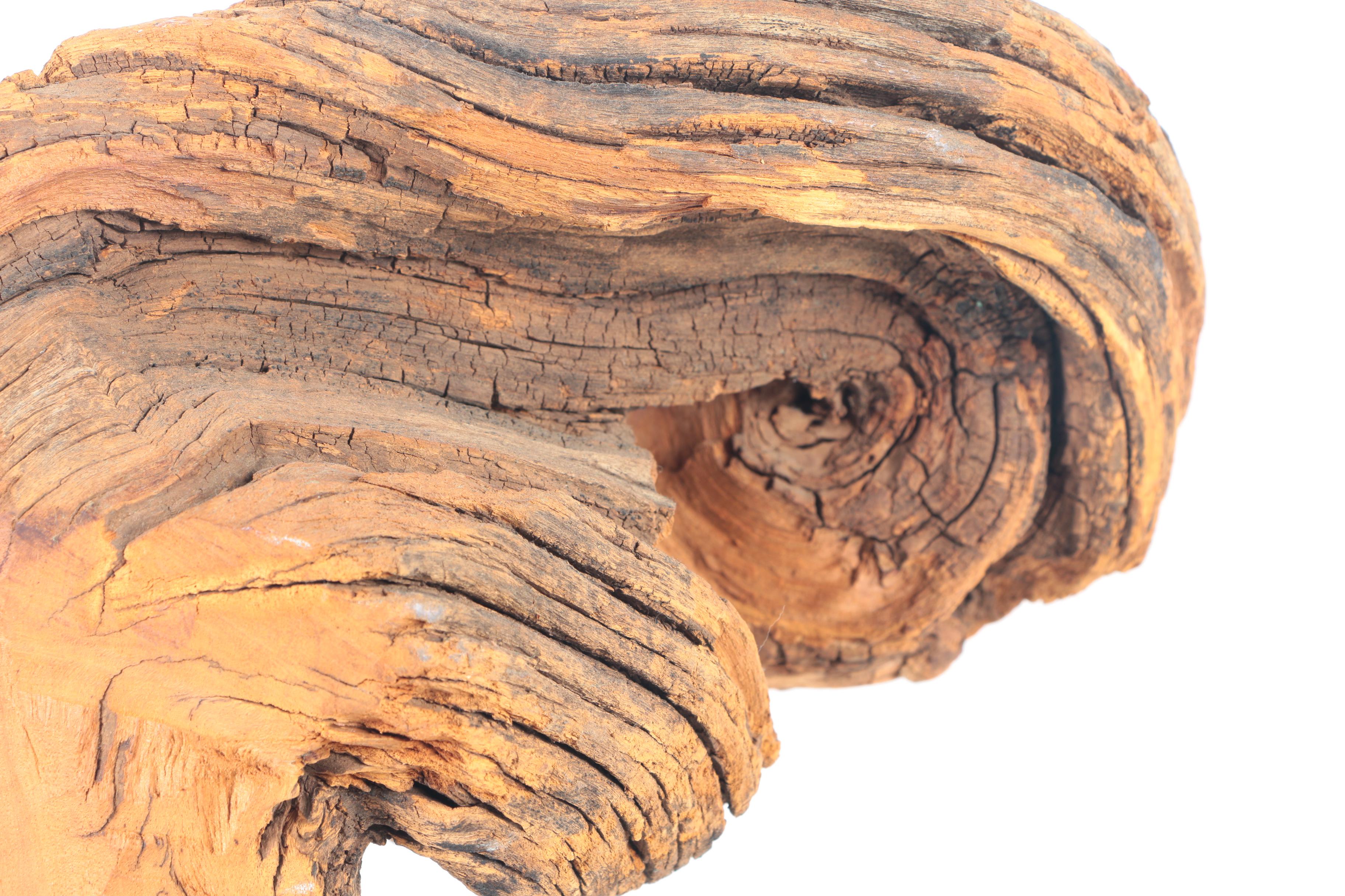 Driftwood Carving of a Woman