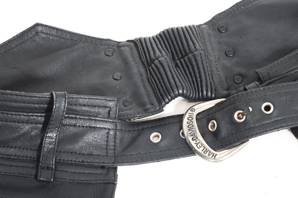 Harley-Davidson Leather Jacket, Chaps, Gloves and Skull Cap