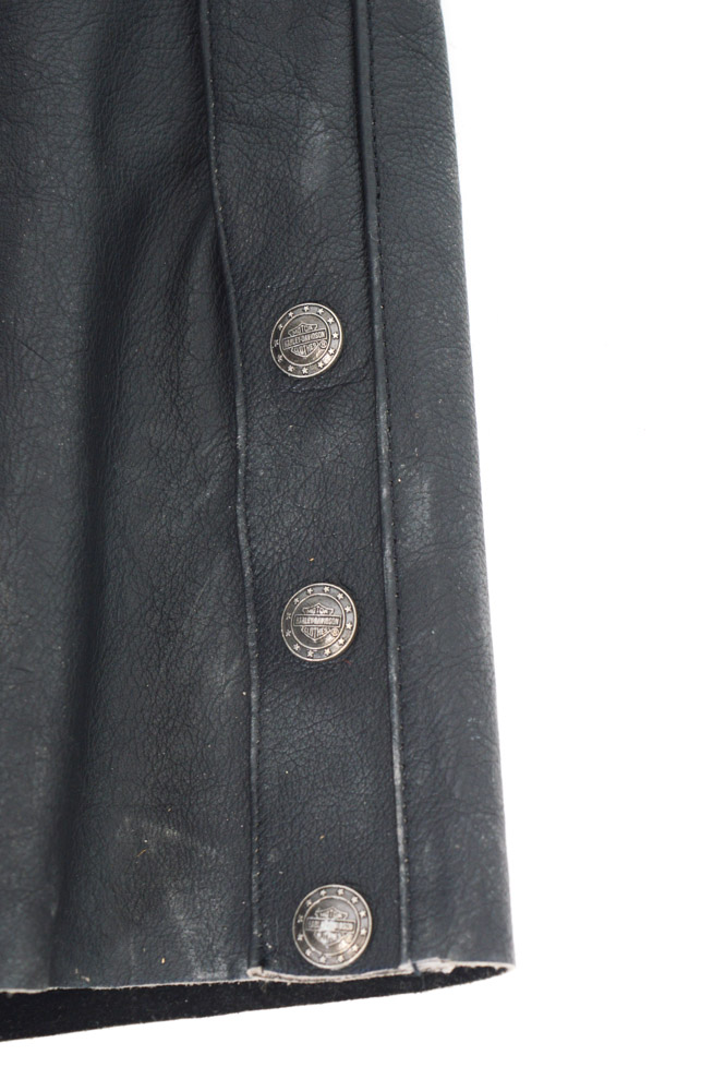 Harley-Davidson Leather Jacket, Chaps, Gloves and Skull Cap