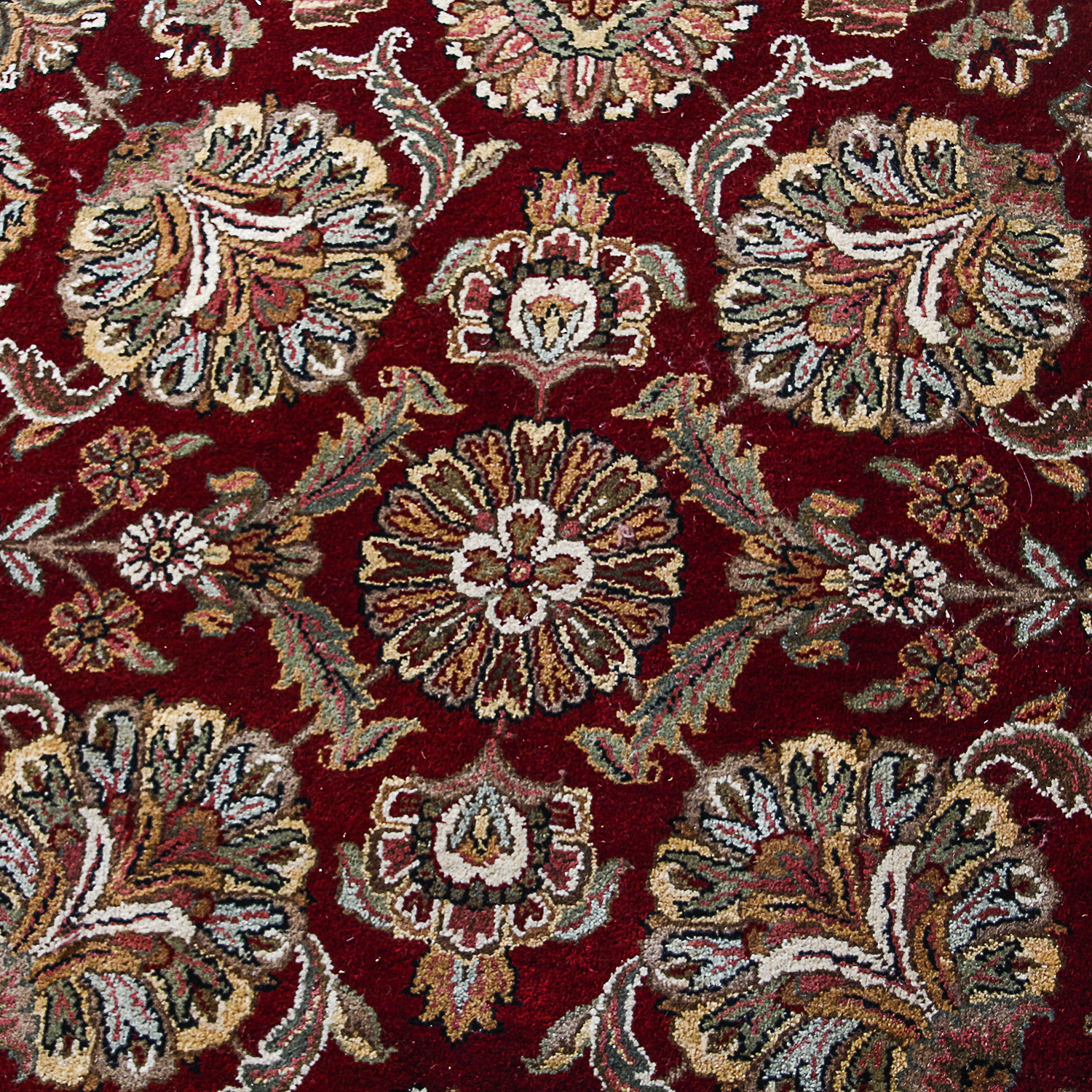 Hand-Knotted Indo-Persian Wool Area Rug