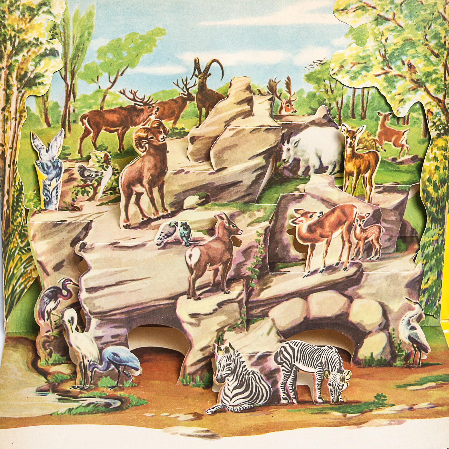 Collection of Vintage Children's Books