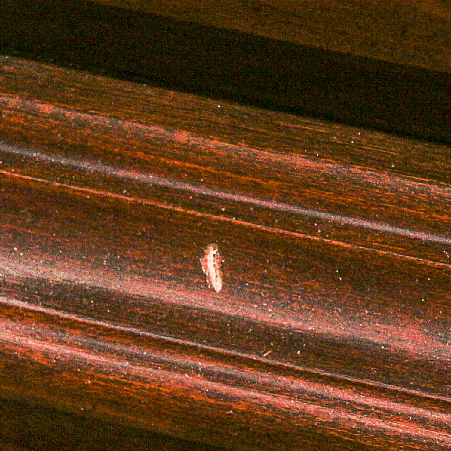 Ethan Allen Georgian Court Highboy Dresser