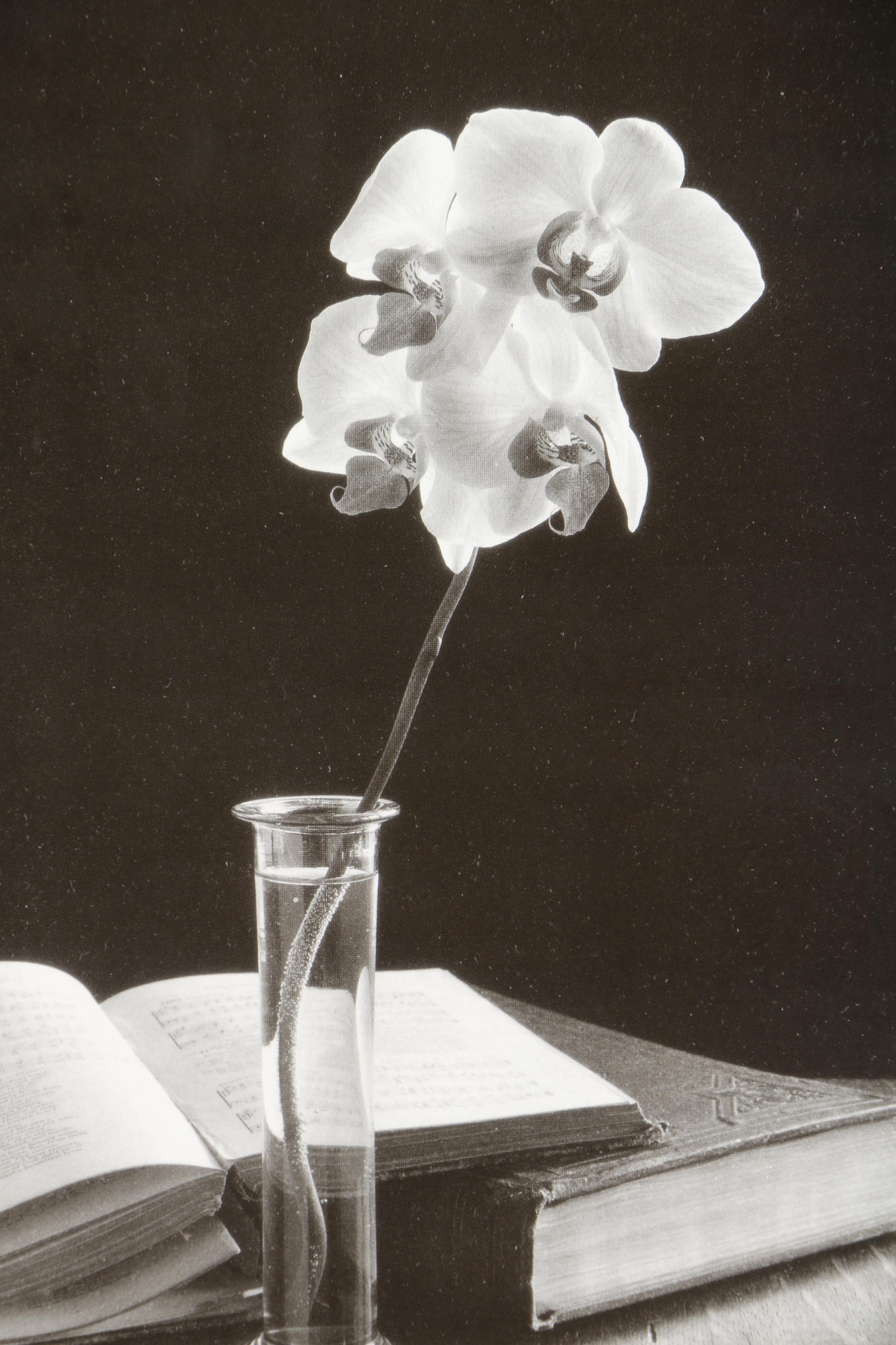 Offset Lithographs of Floral Still Lives