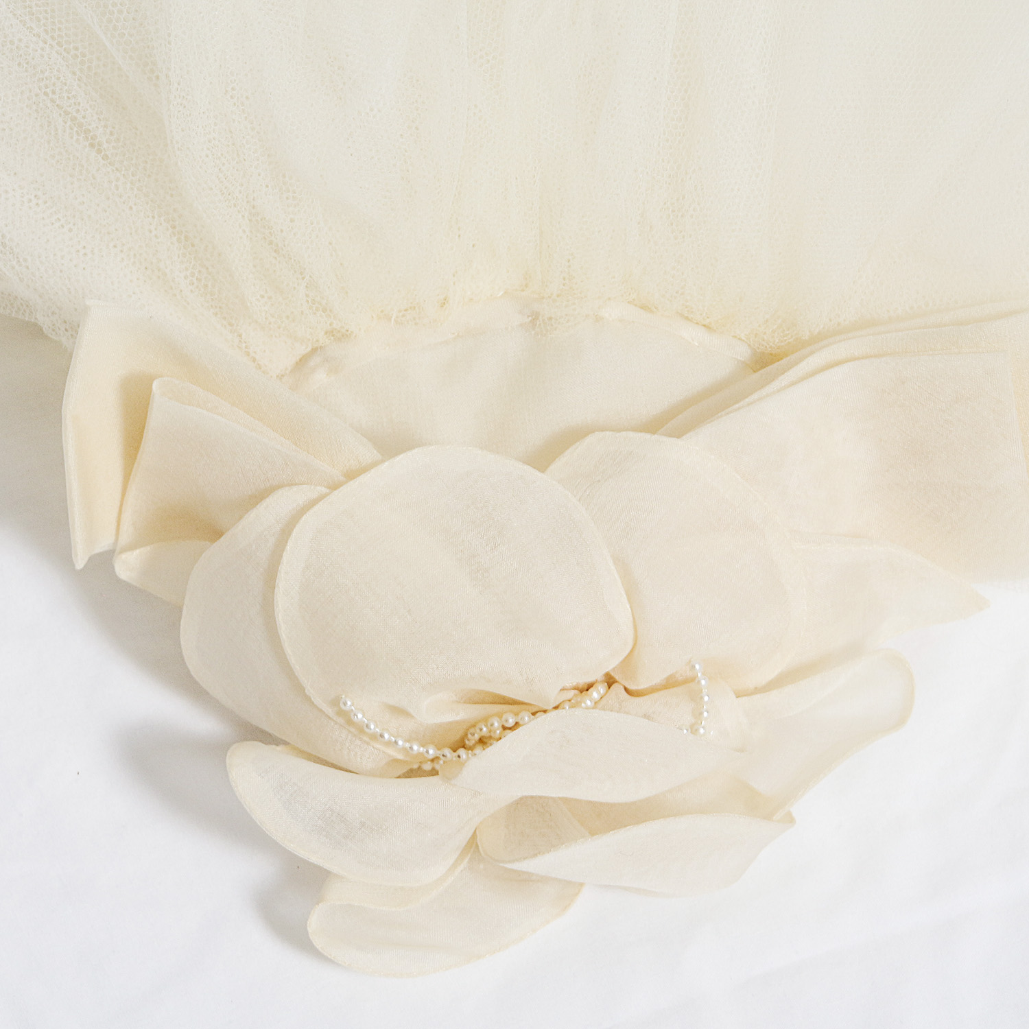 Vintage Wedding Dress and Veil