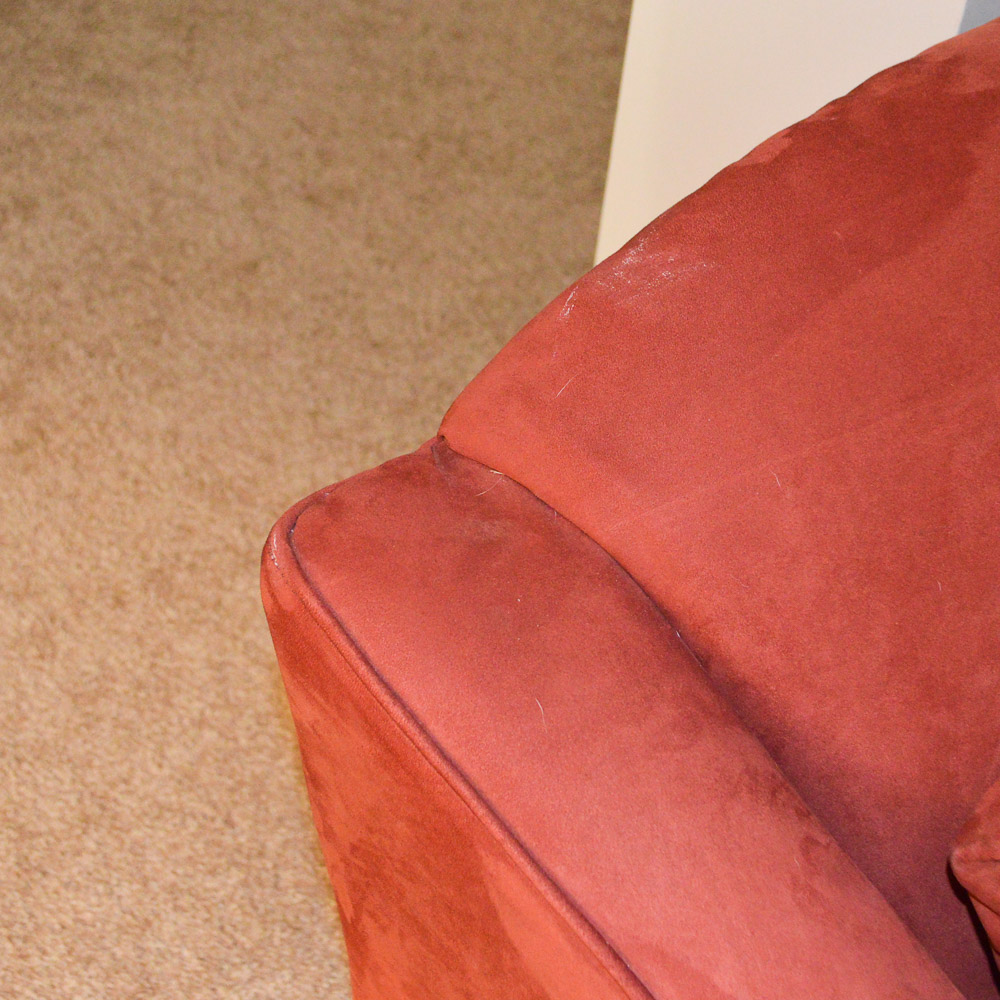 Camelback Loveseat by Bauhaus Furniture