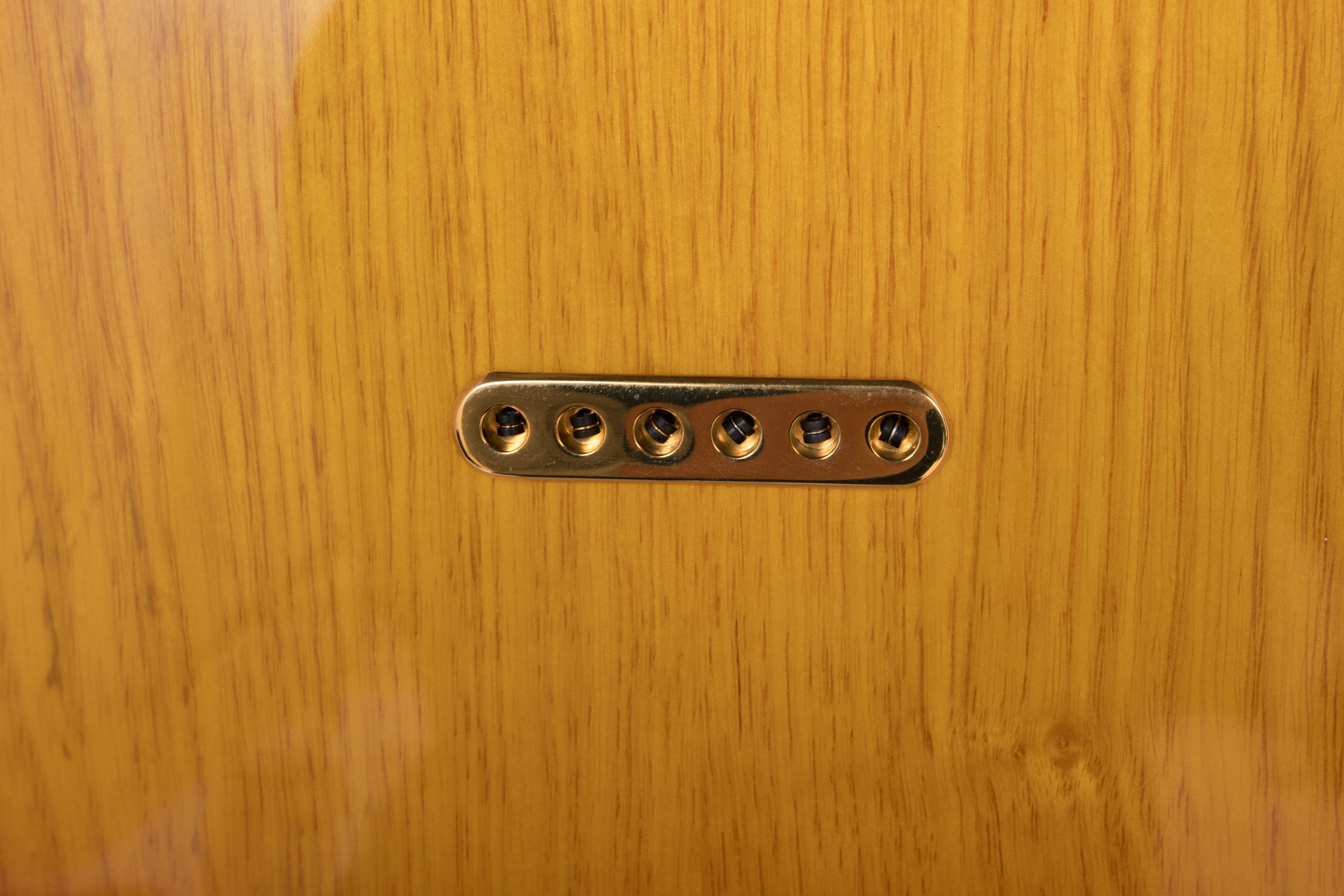 G&L Custom Leo Fender Commemorative Edition Electric Guitar