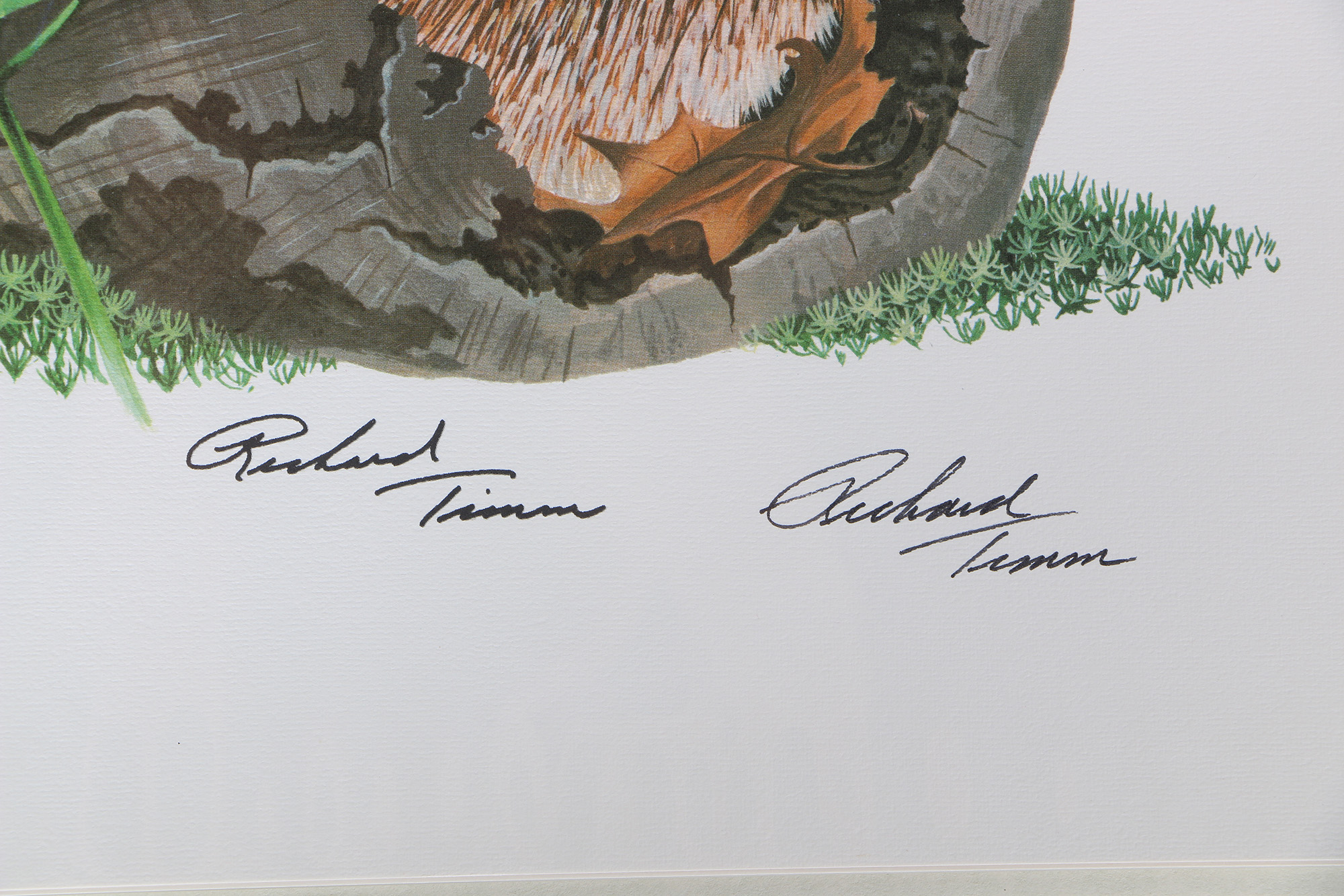 Richard Timm Offset Lithographs "Mammals of North America" Portfolio