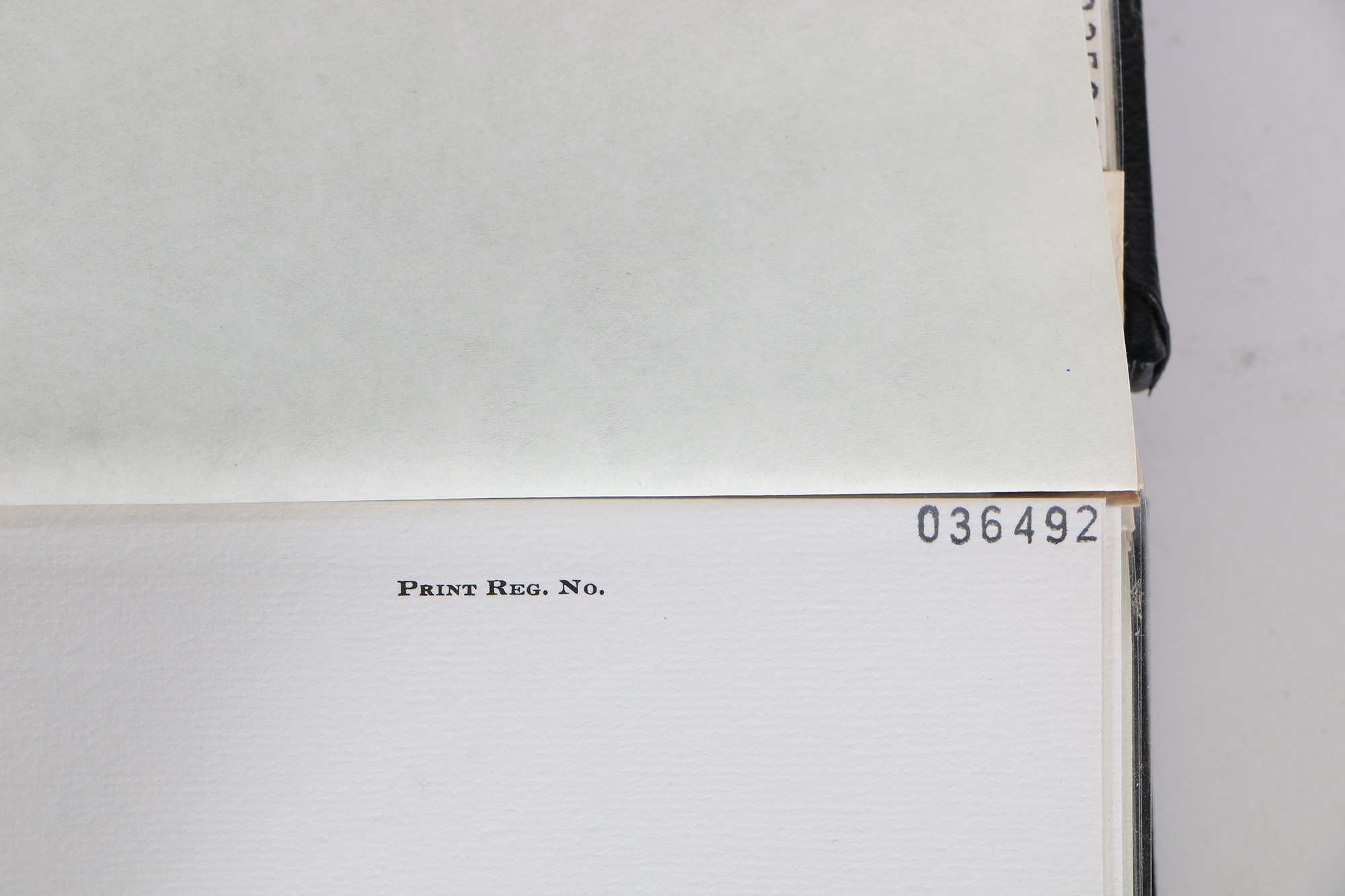 Richard Timm Offset Lithographs "Mammals of North America" Portfolio