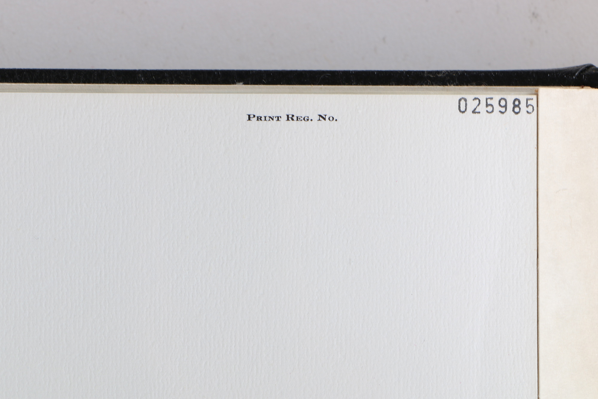 Richard Timm Offset Lithographs "Mammals of North America" Portfolio