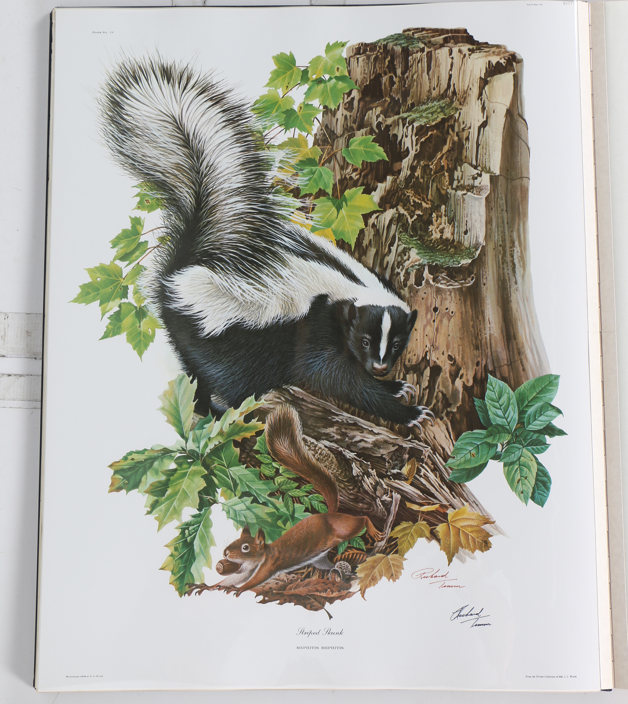 Richard Timm Offset Lithographs "Mammals of North America" Portfolio