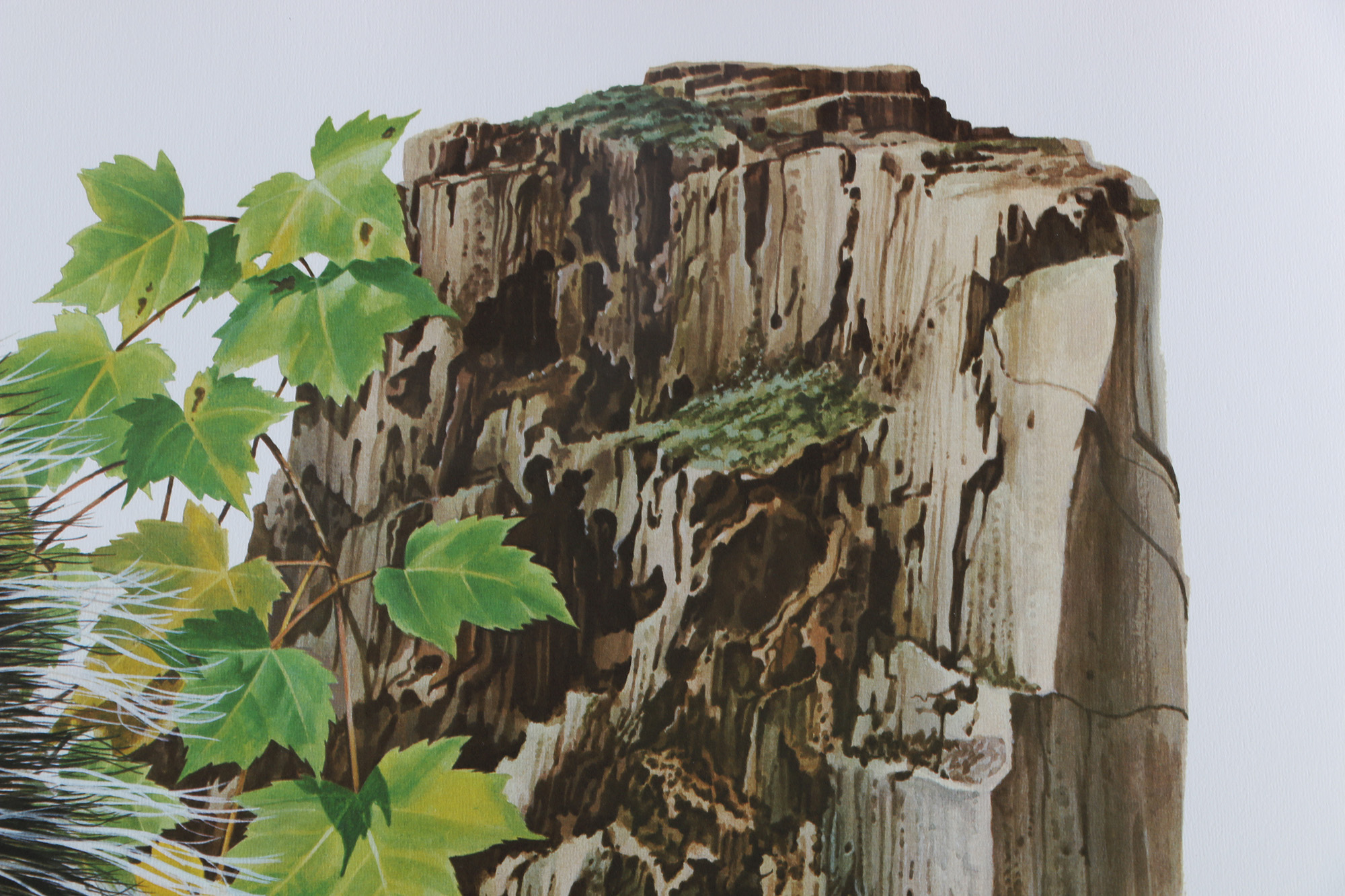 Richard Timm Offset Lithographs "Mammals of North America" Portfolio