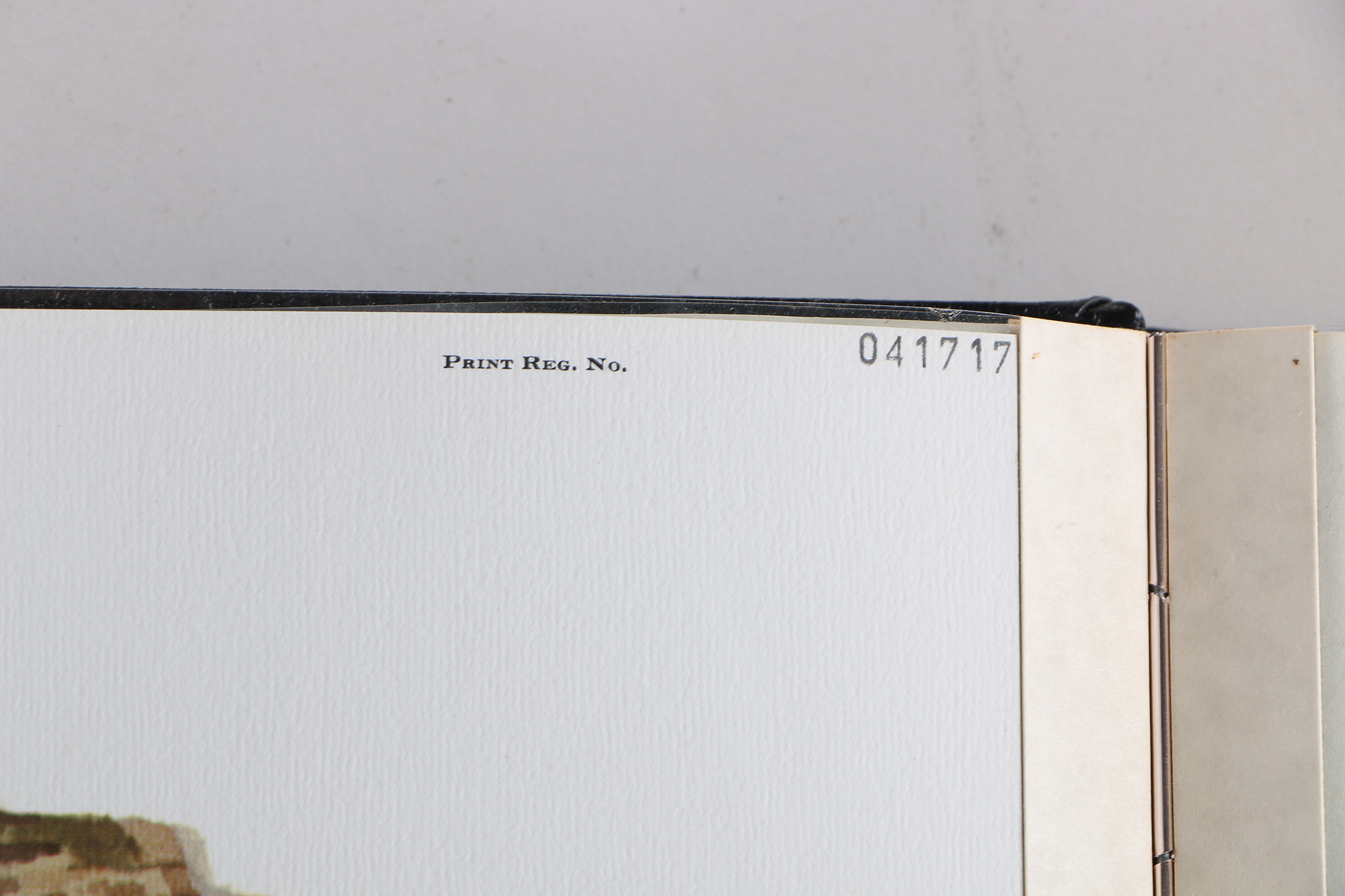 Richard Timm Offset Lithographs "Mammals of North America" Portfolio