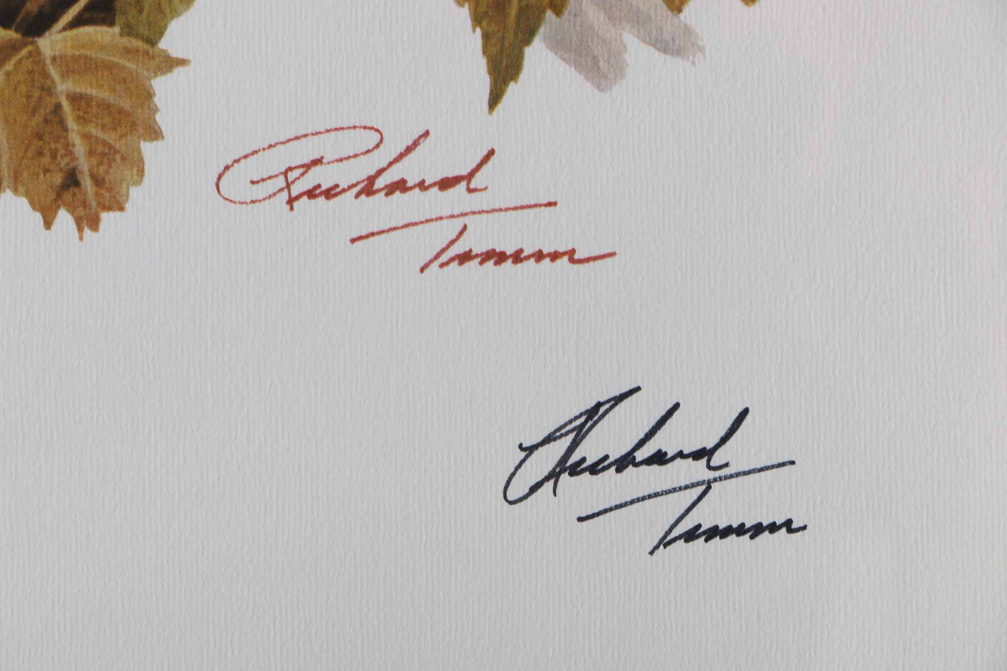 Richard Timm Offset Lithographs "Mammals of North America" Portfolio