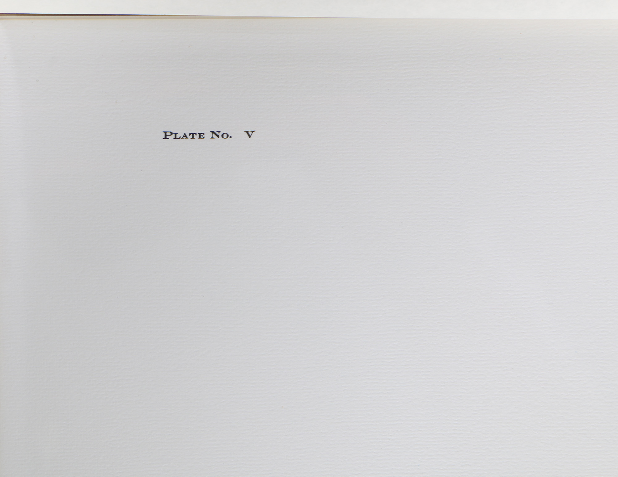 Richard Timm Offset Lithographs "Mammals of North America" Portfolio