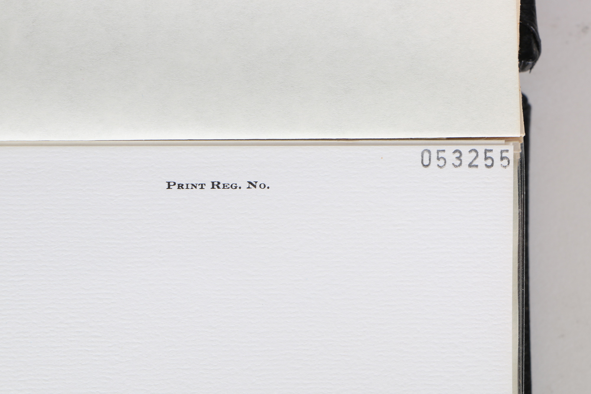 Richard Timm Offset Lithographs "Mammals of North America" Portfolio