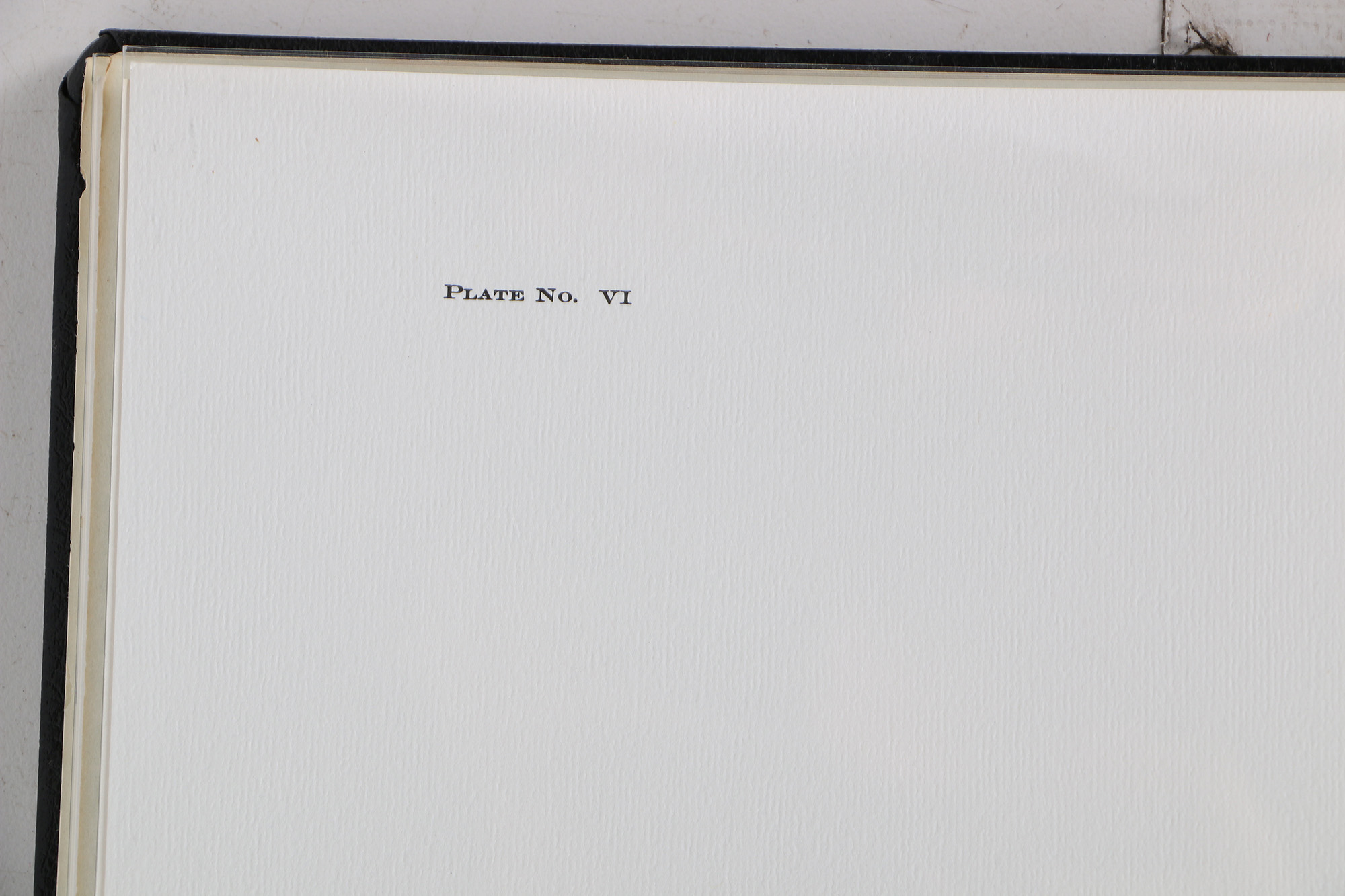 Richard Timm Offset Lithographs "Mammals of North America" Portfolio