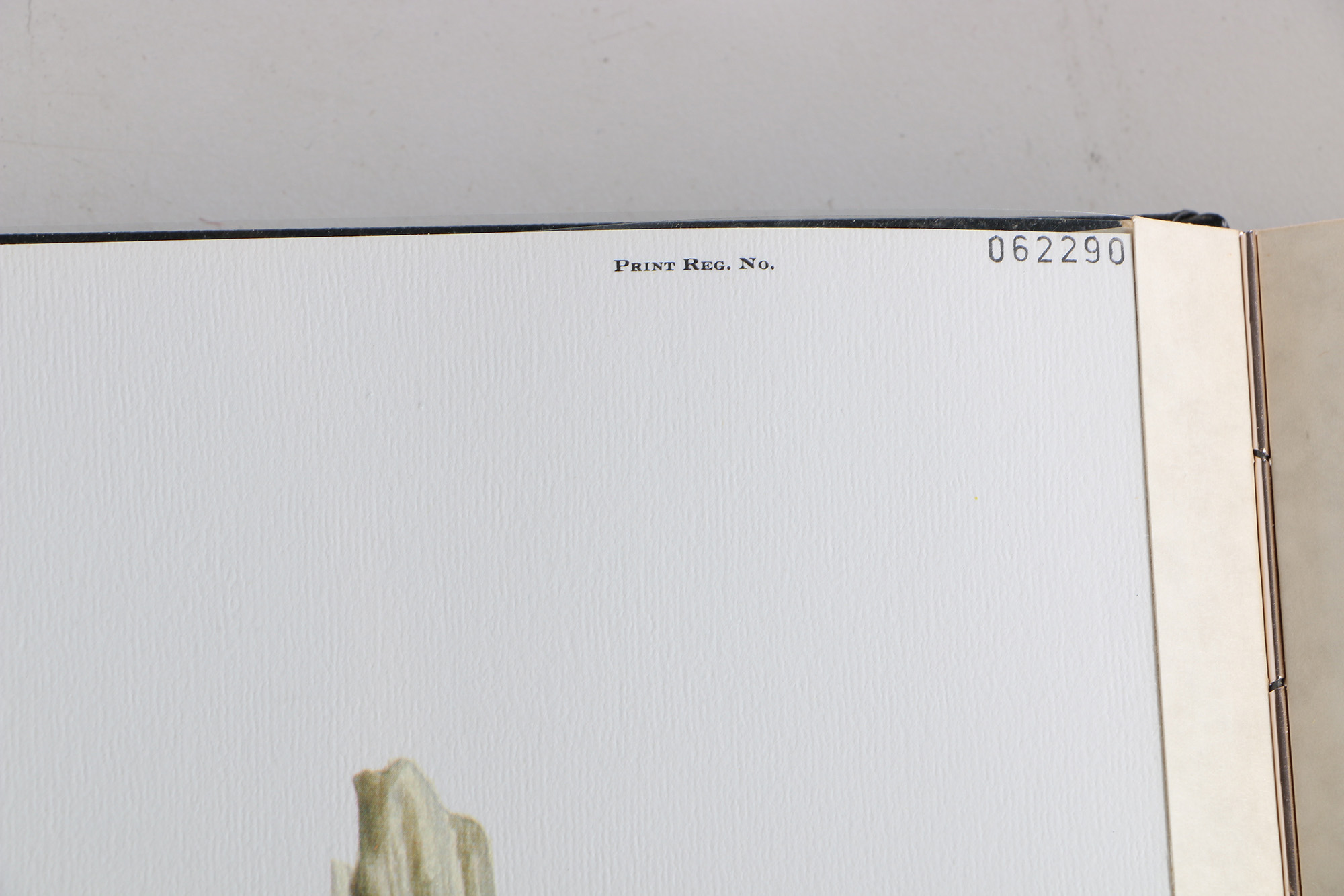 Richard Timm Offset Lithographs "Mammals of North America" Portfolio