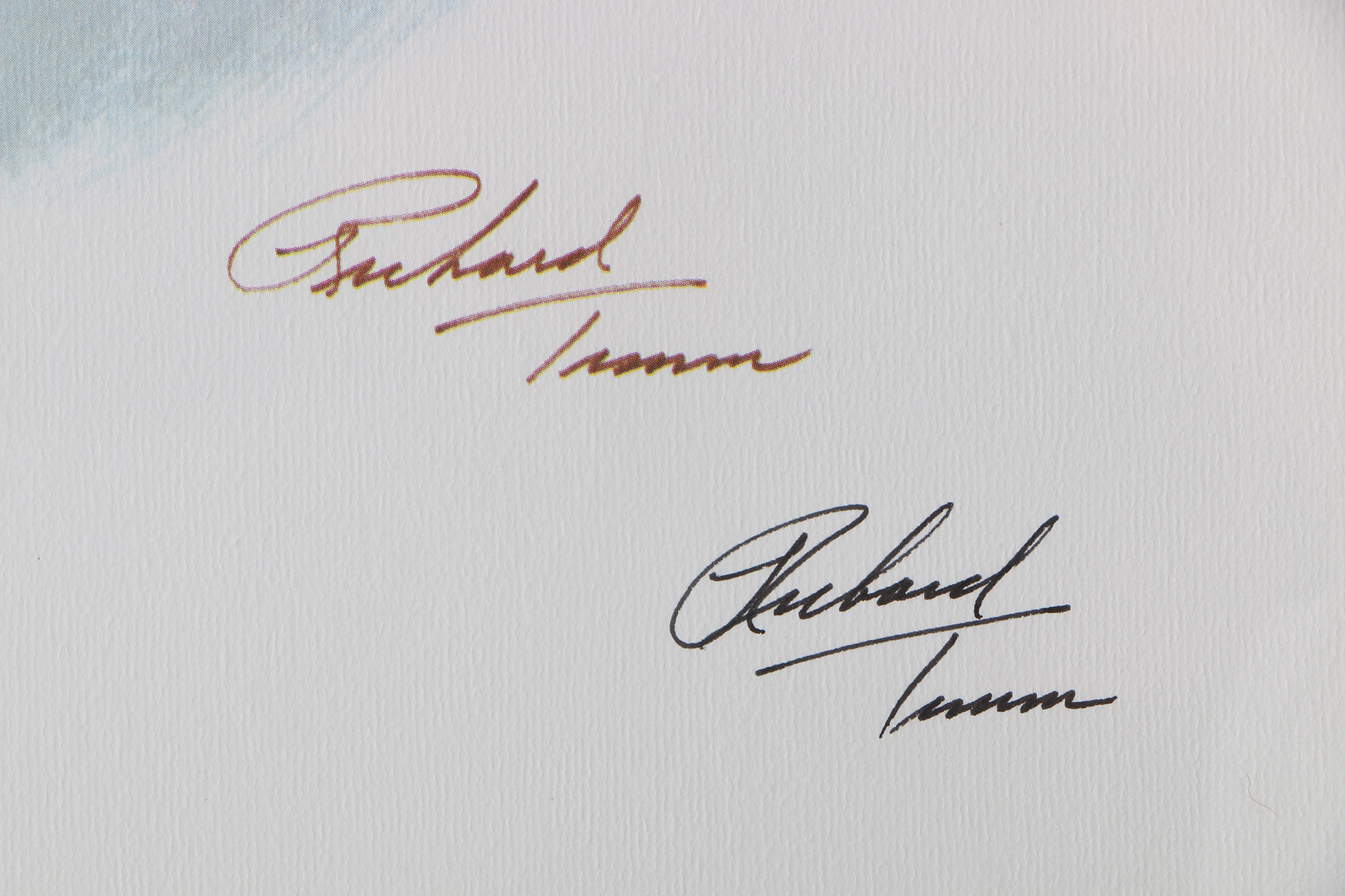 Richard Timm Offset Lithographs "Mammals of North America" Portfolio