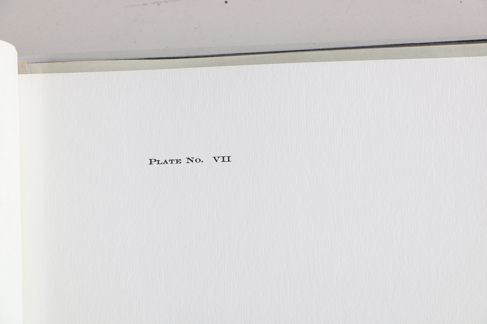 Richard Timm Offset Lithographs "Mammals of North America" Portfolio