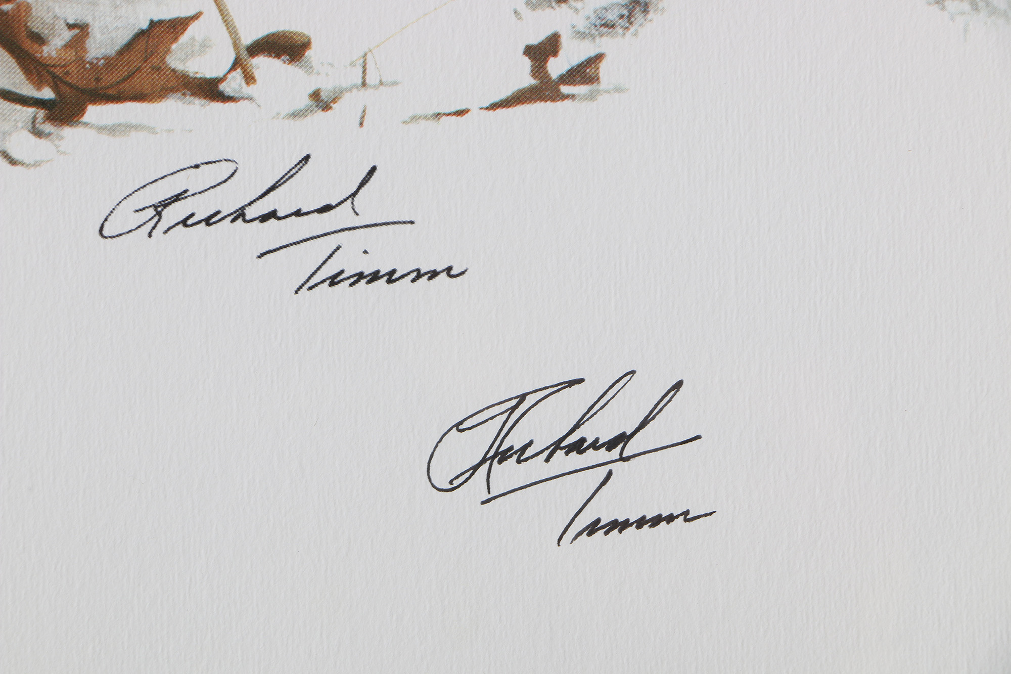 Richard Timm Offset Lithographs "Mammals of North America" Portfolio