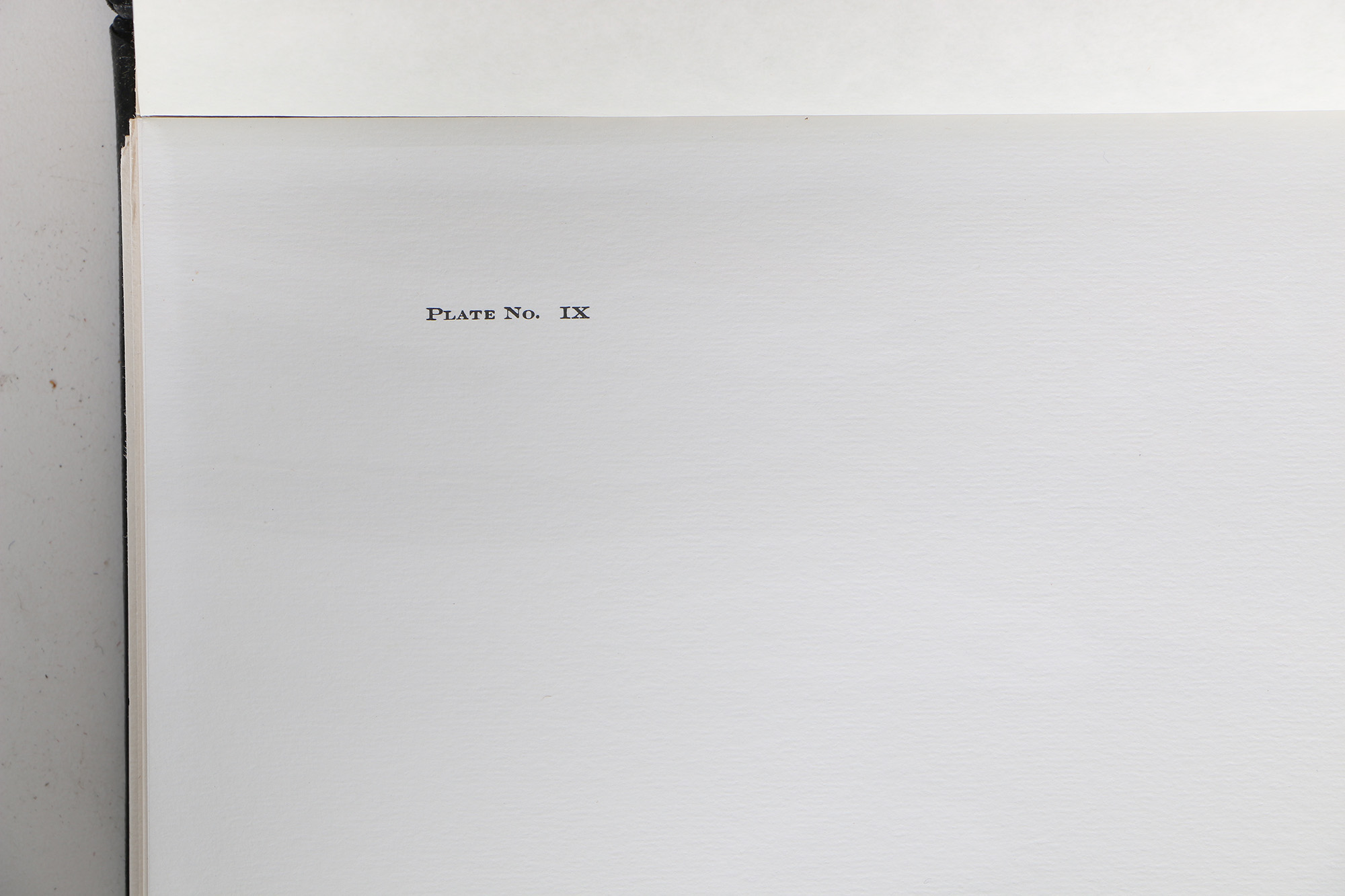 Richard Timm Offset Lithographs "Mammals of North America" Portfolio