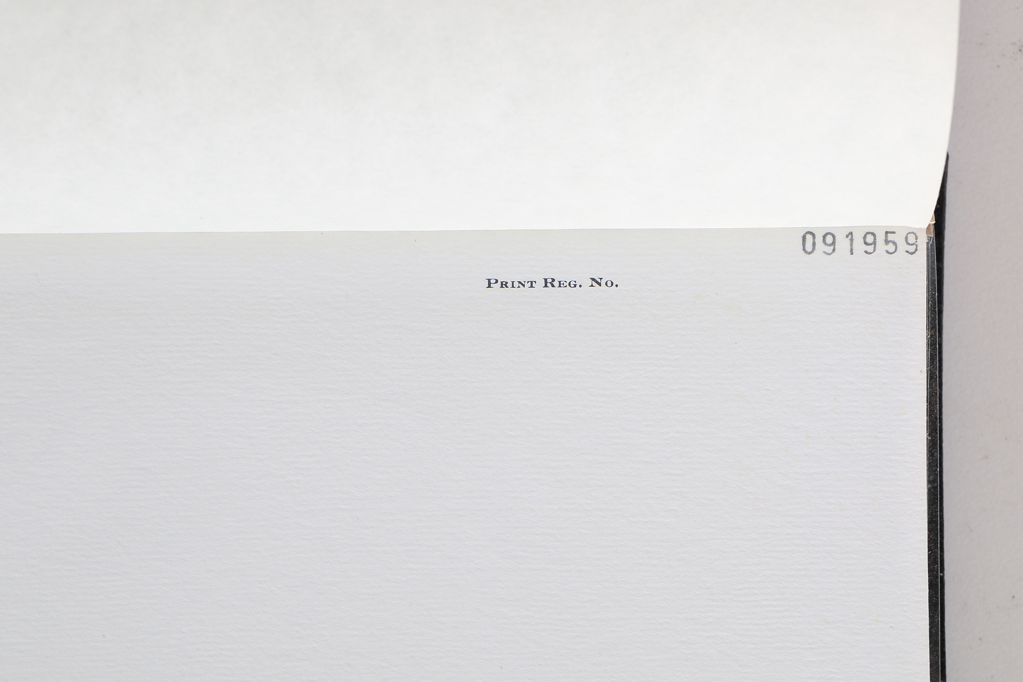 Richard Timm Offset Lithographs "Mammals of North America" Portfolio