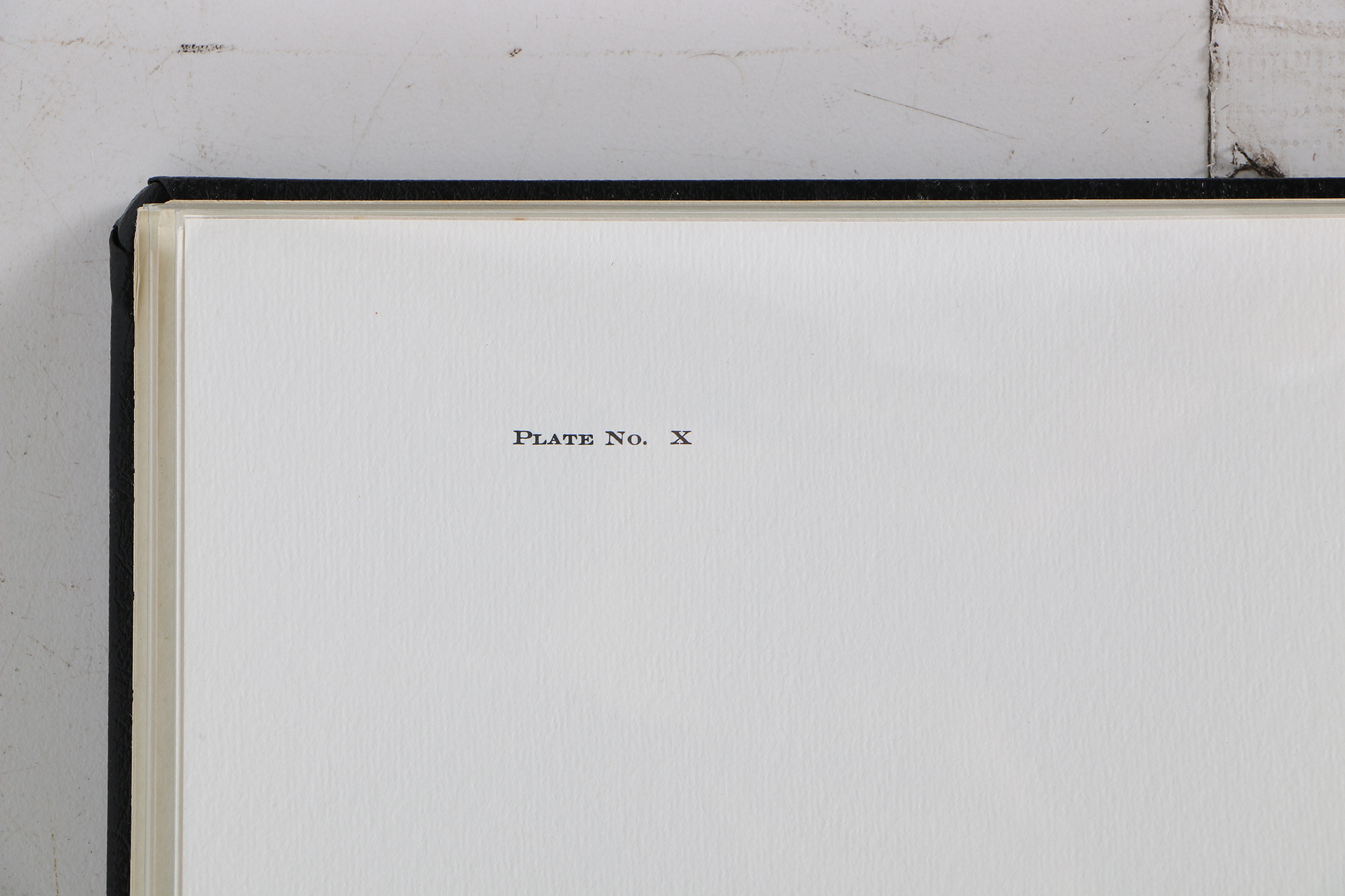 Richard Timm Offset Lithographs "Mammals of North America" Portfolio