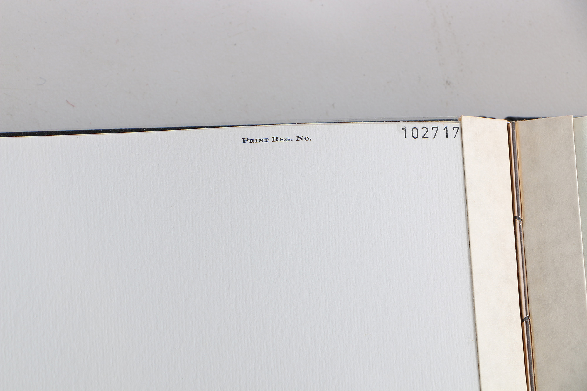 Richard Timm Offset Lithographs "Mammals of North America" Portfolio