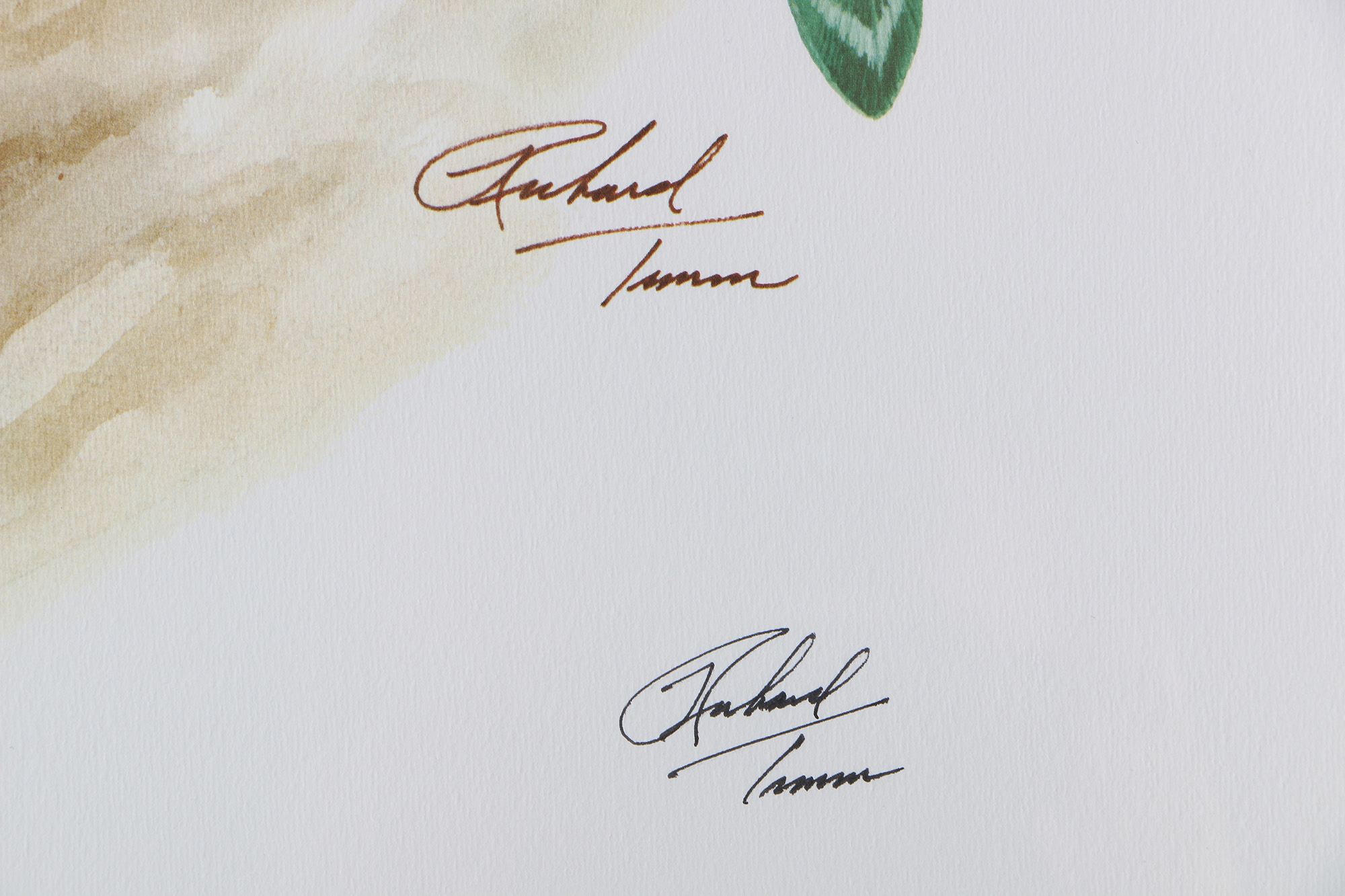 Richard Timm Offset Lithographs "Mammals of North America" Portfolio