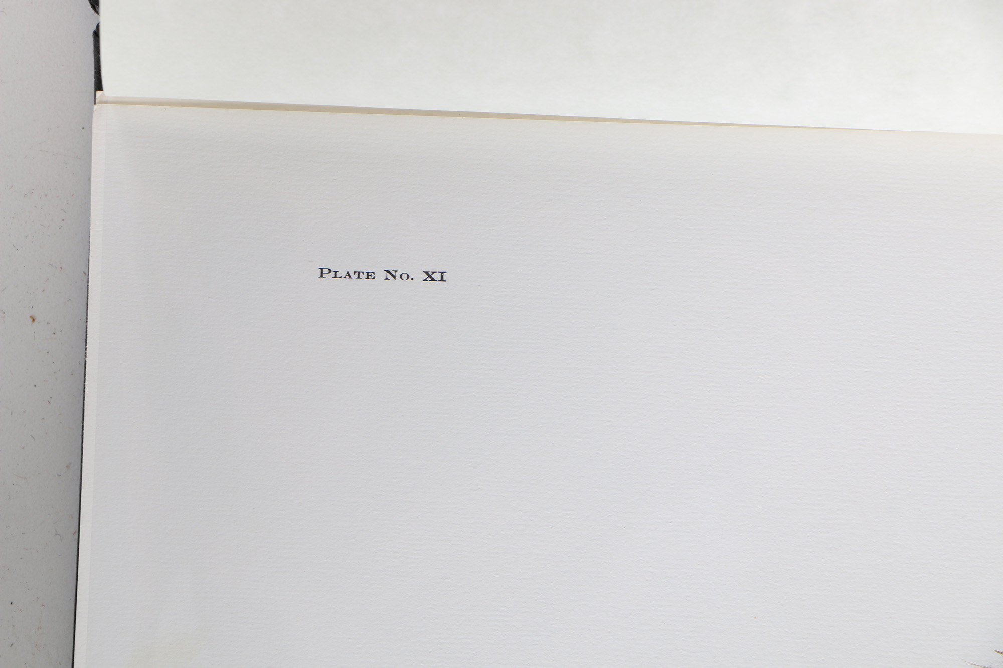 Richard Timm Offset Lithographs "Mammals of North America" Portfolio