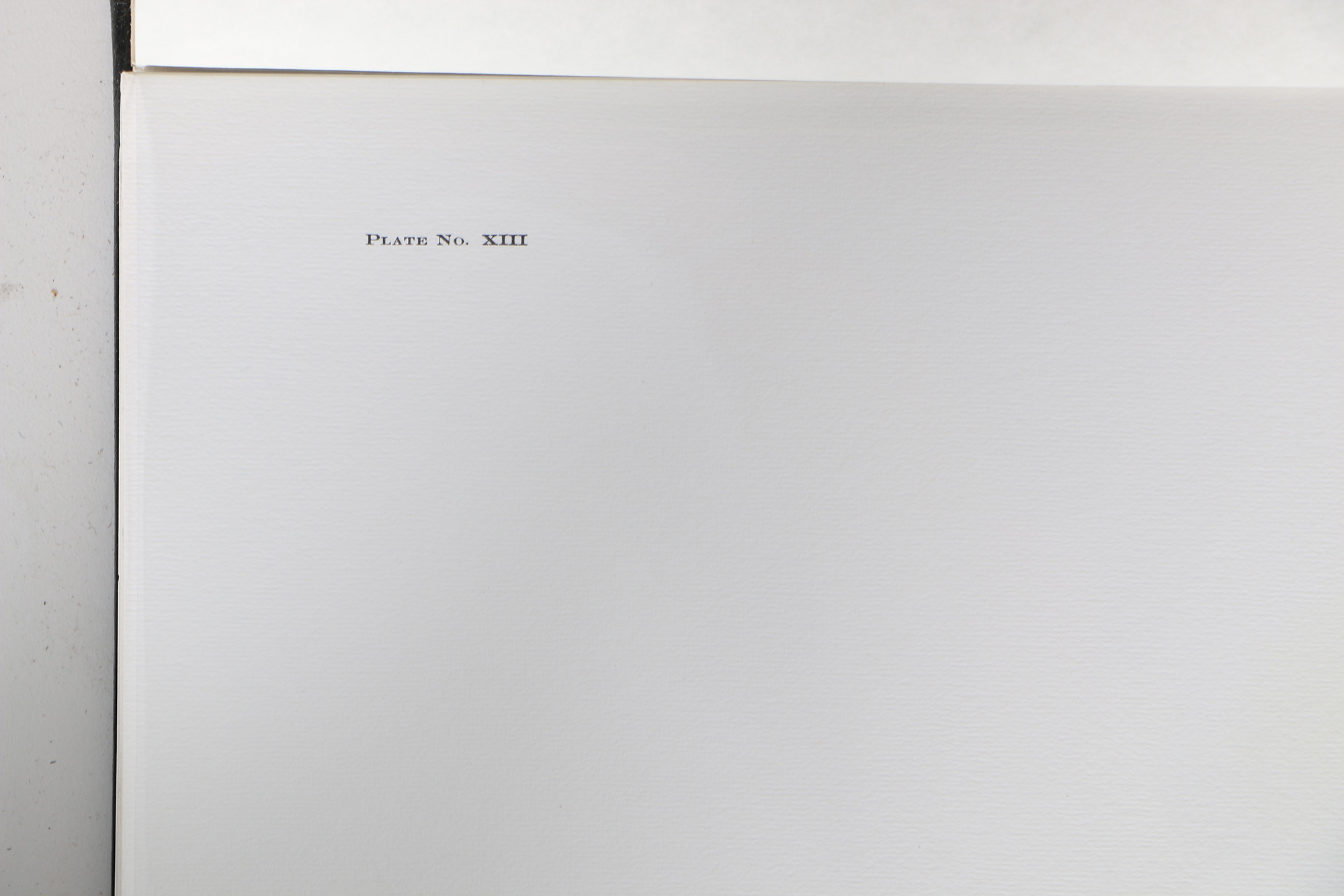 Richard Timm Offset Lithographs "Mammals of North America" Portfolio