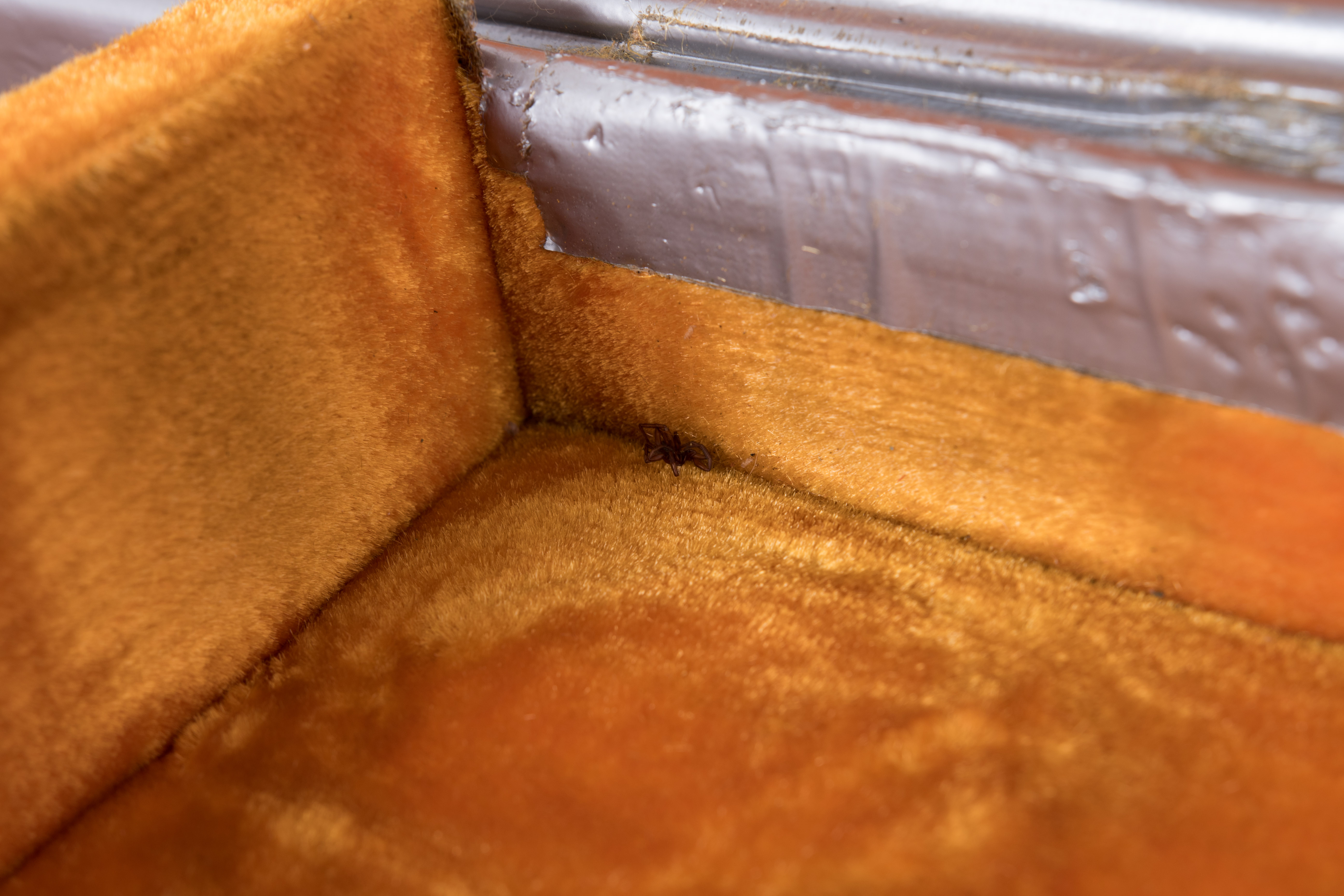 Circa 1970s Gibson SG Deluxe Electric Guitar