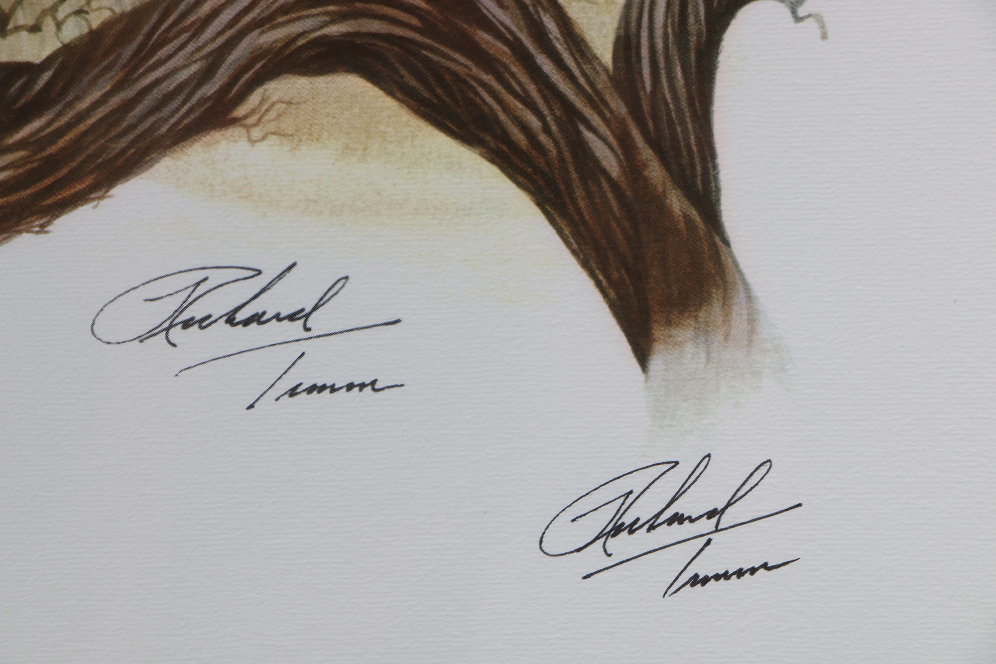 Richard Timm Offset Lithographs "Mammals of North America" Portfolio