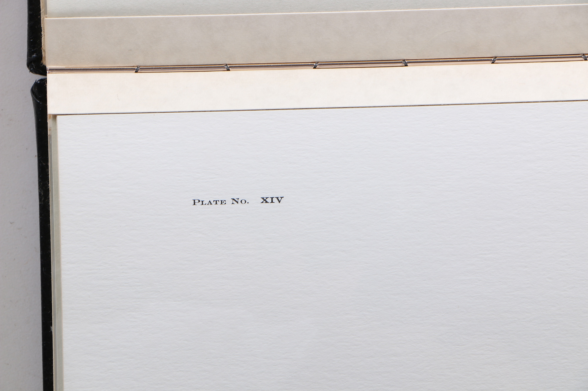 Richard Timm Offset Lithographs "Mammals of North America" Portfolio