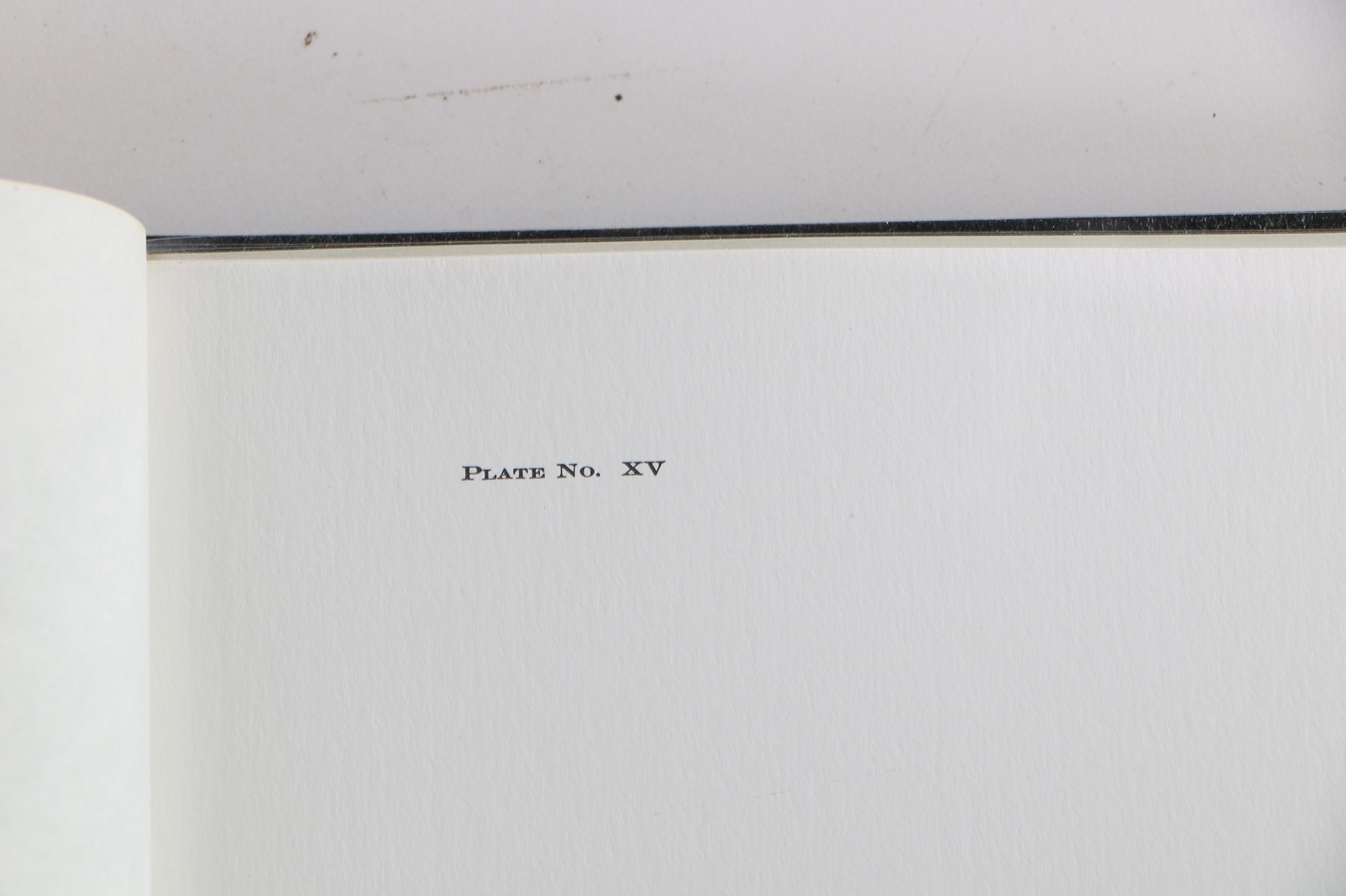 Richard Timm Offset Lithographs "Mammals of North America" Portfolio