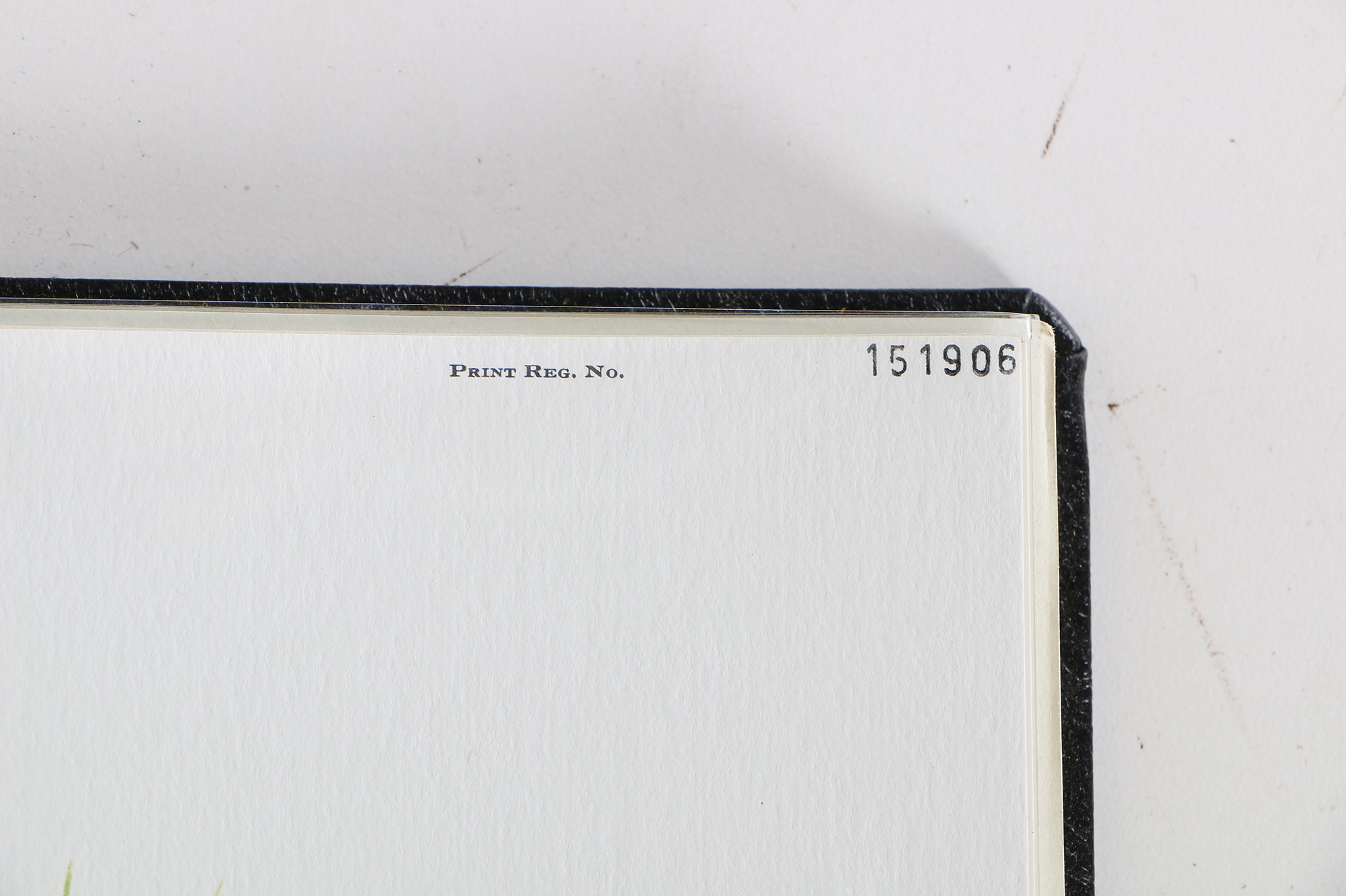 Richard Timm Offset Lithographs "Mammals of North America" Portfolio