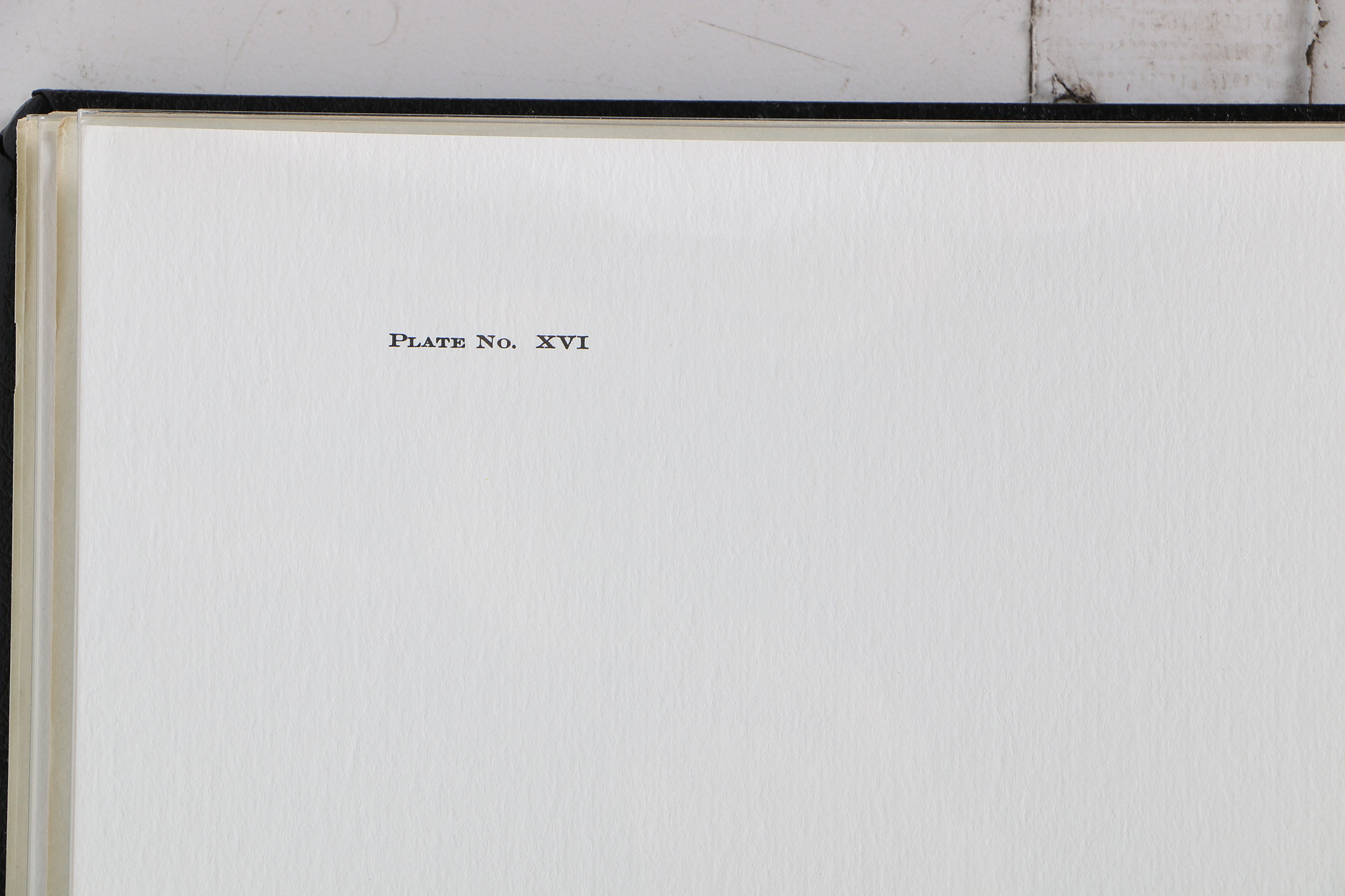 Richard Timm Offset Lithographs "Mammals of North America" Portfolio