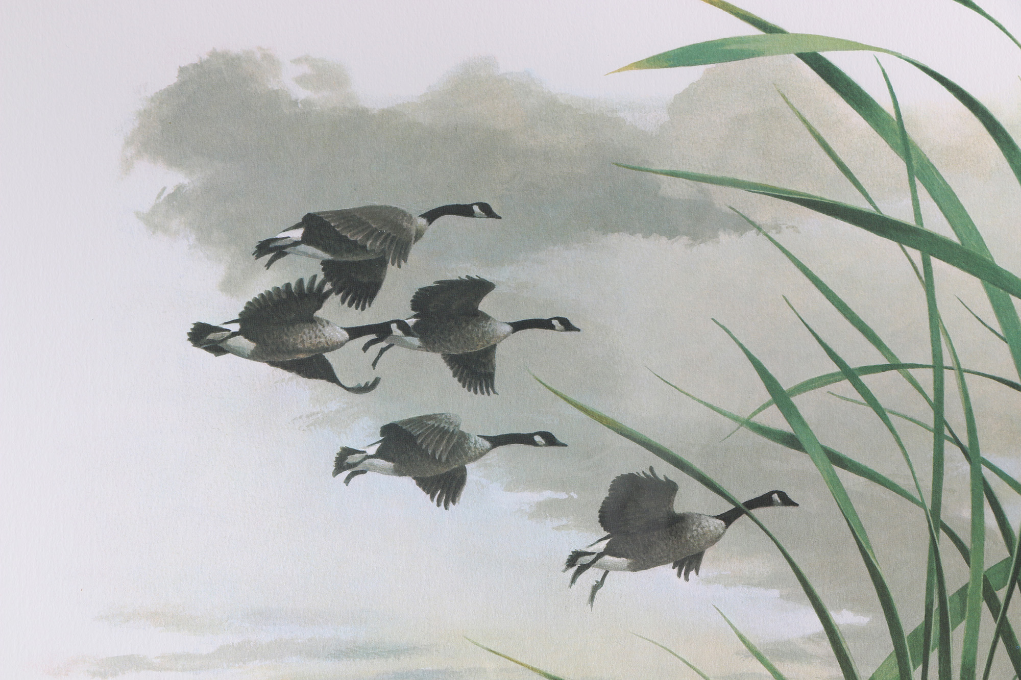 Richard Timm Offset Lithographs "Mammals of North America" Portfolio