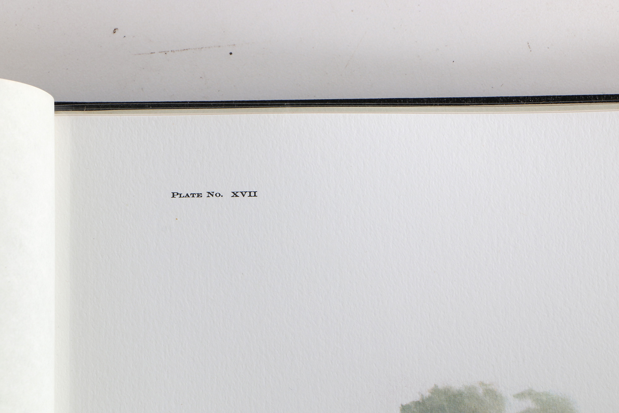 Richard Timm Offset Lithographs "Mammals of North America" Portfolio