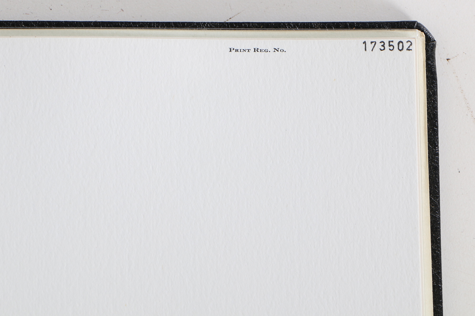 Richard Timm Offset Lithographs "Mammals of North America" Portfolio