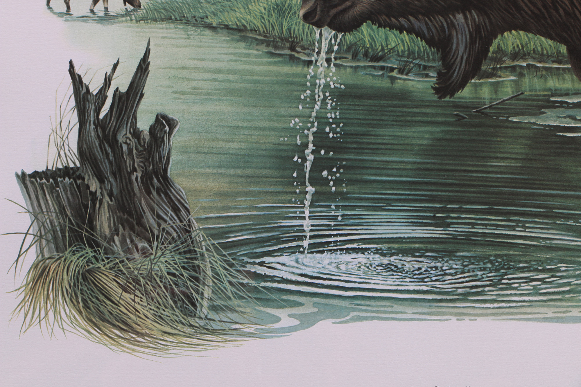 Richard Timm Offset Lithographs "Mammals of North America" Portfolio