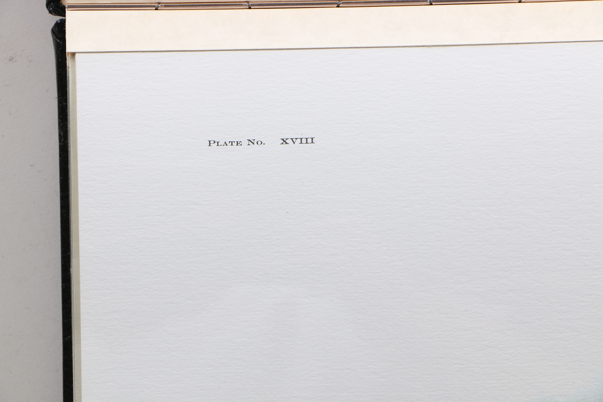 Richard Timm Offset Lithographs "Mammals of North America" Portfolio