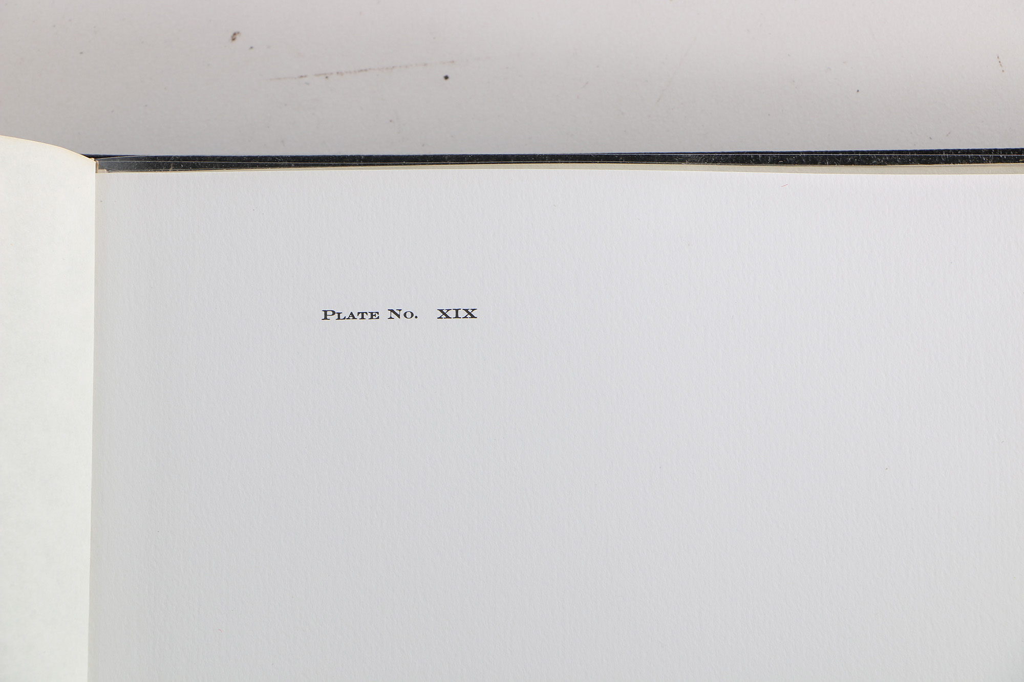 Richard Timm Offset Lithographs "Mammals of North America" Portfolio