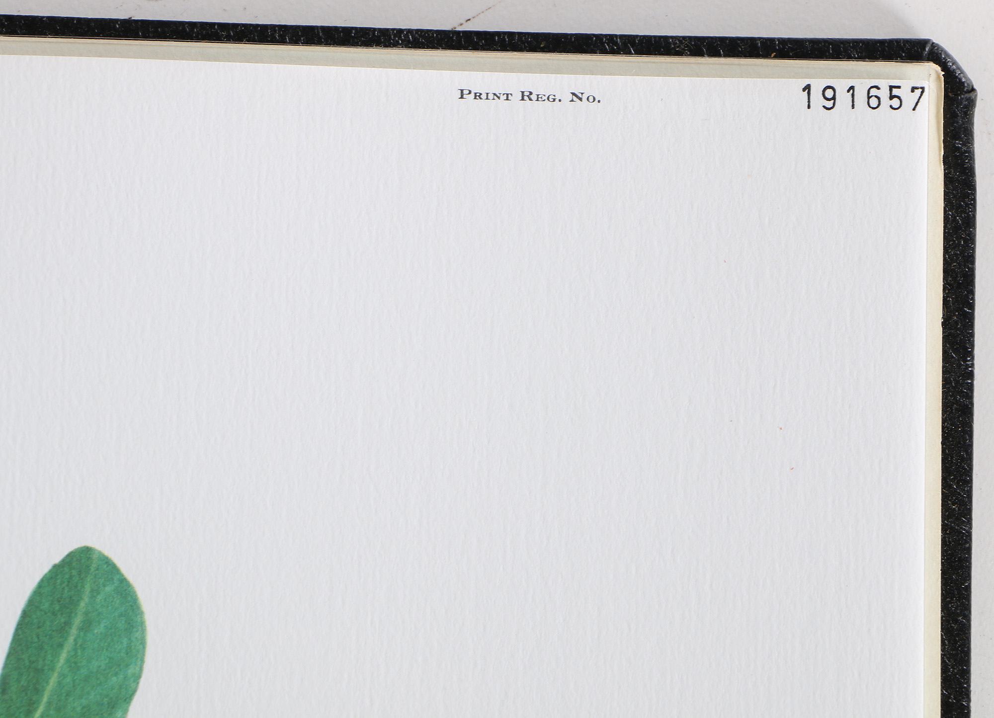 Richard Timm Offset Lithographs "Mammals of North America" Portfolio