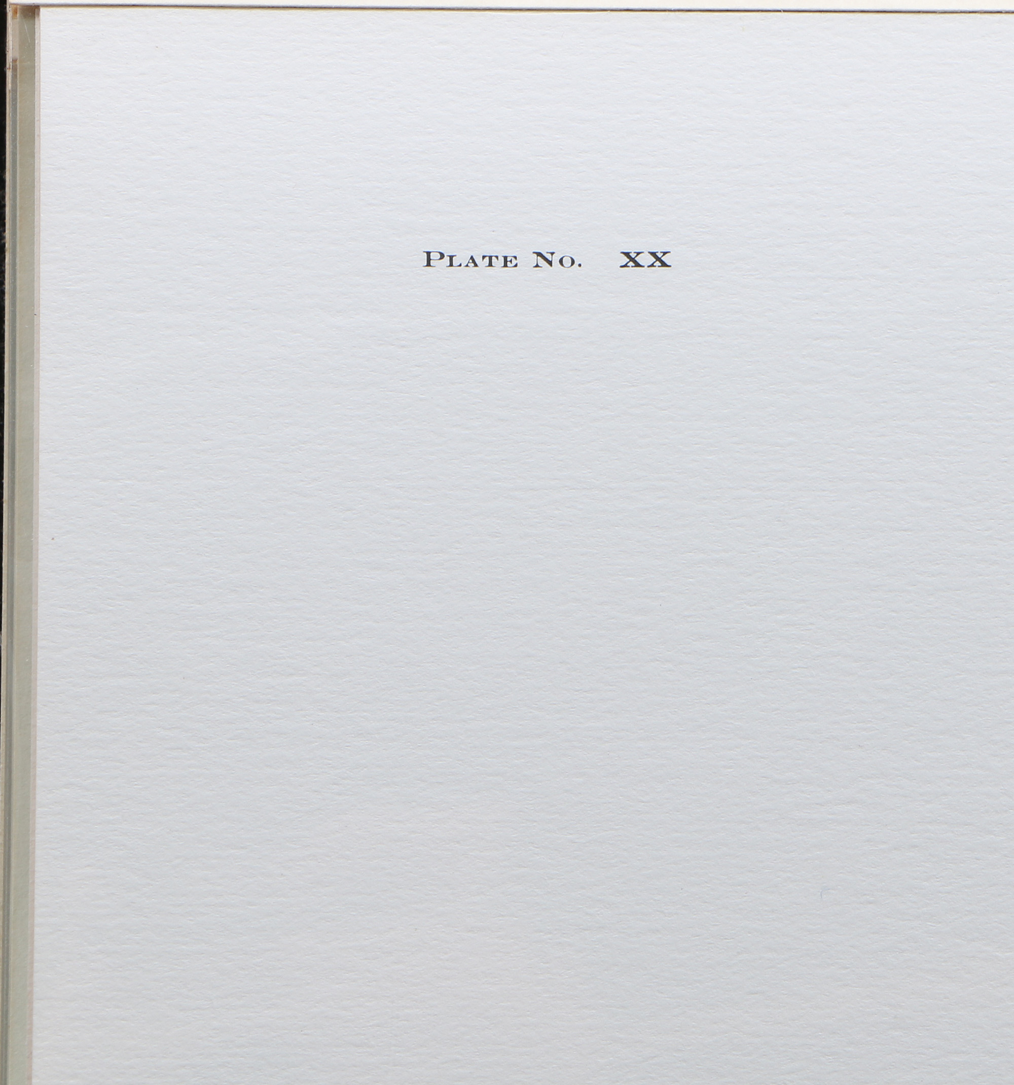 Richard Timm Offset Lithographs "Mammals of North America" Portfolio