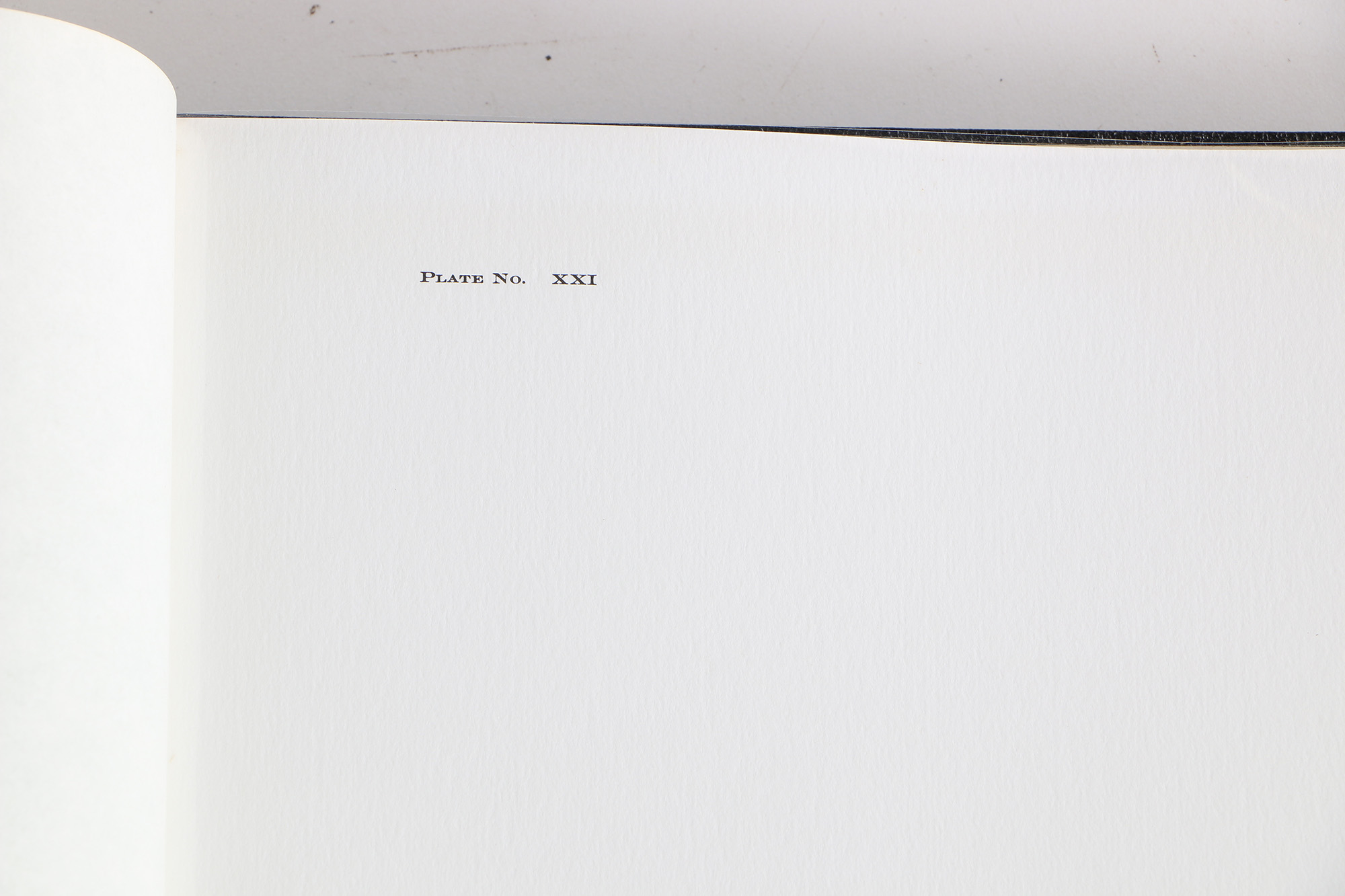 Richard Timm Offset Lithographs "Mammals of North America" Portfolio